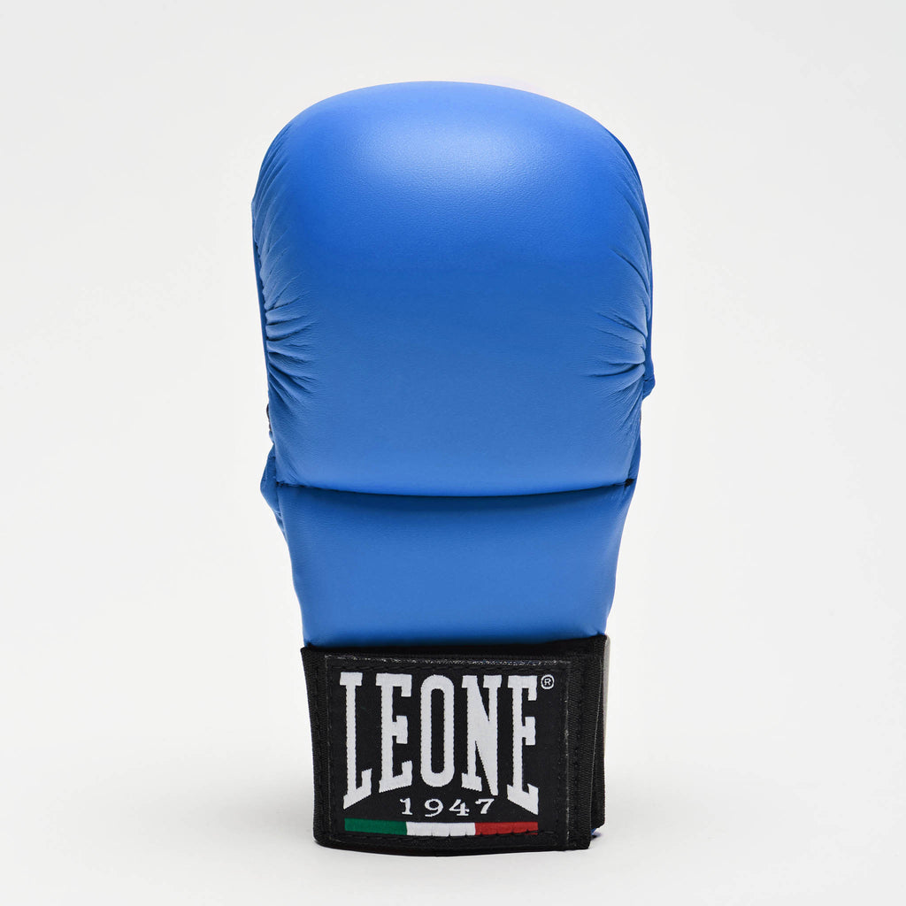 FIT/KARATE GLOVES