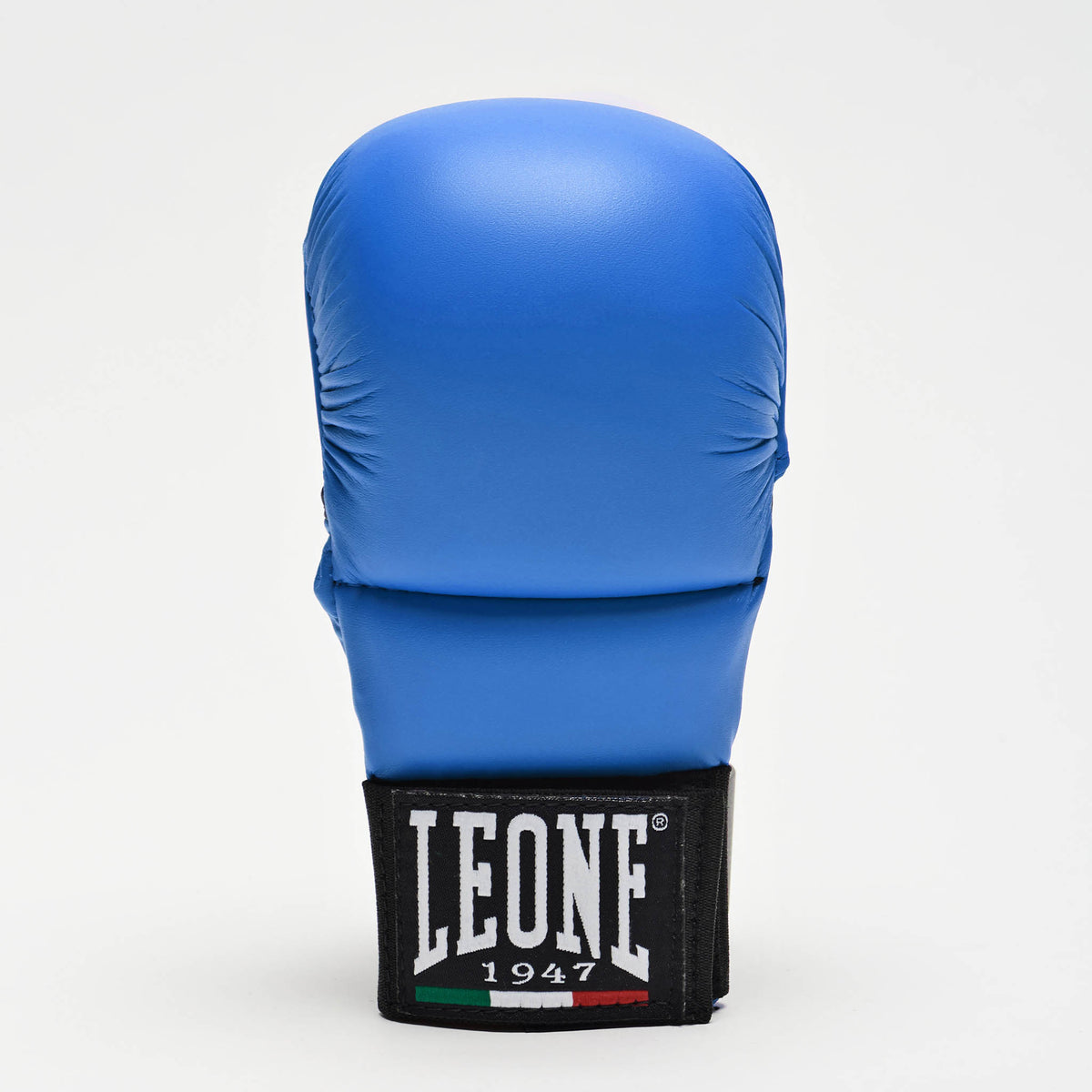 FIT/KARATE GLOVES