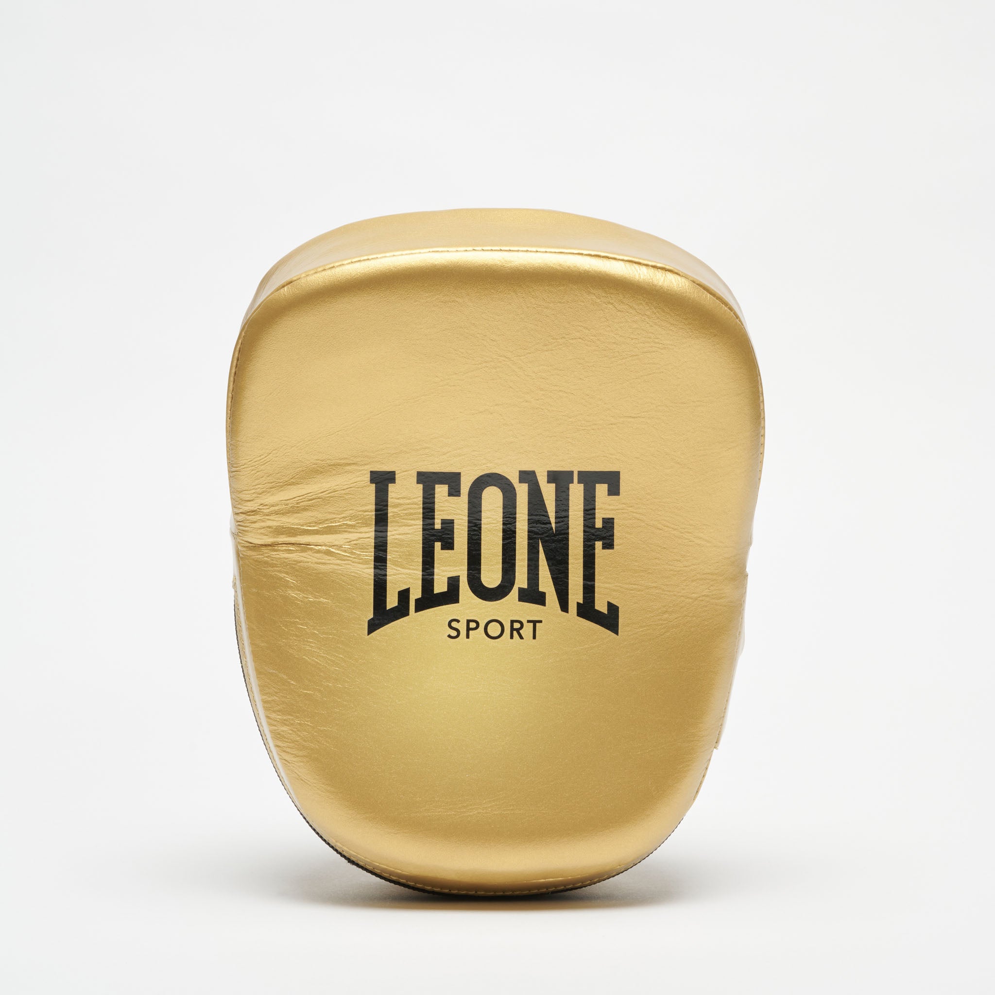 ARISTOTELE CLASSICO CURVED PUNCH MITTS