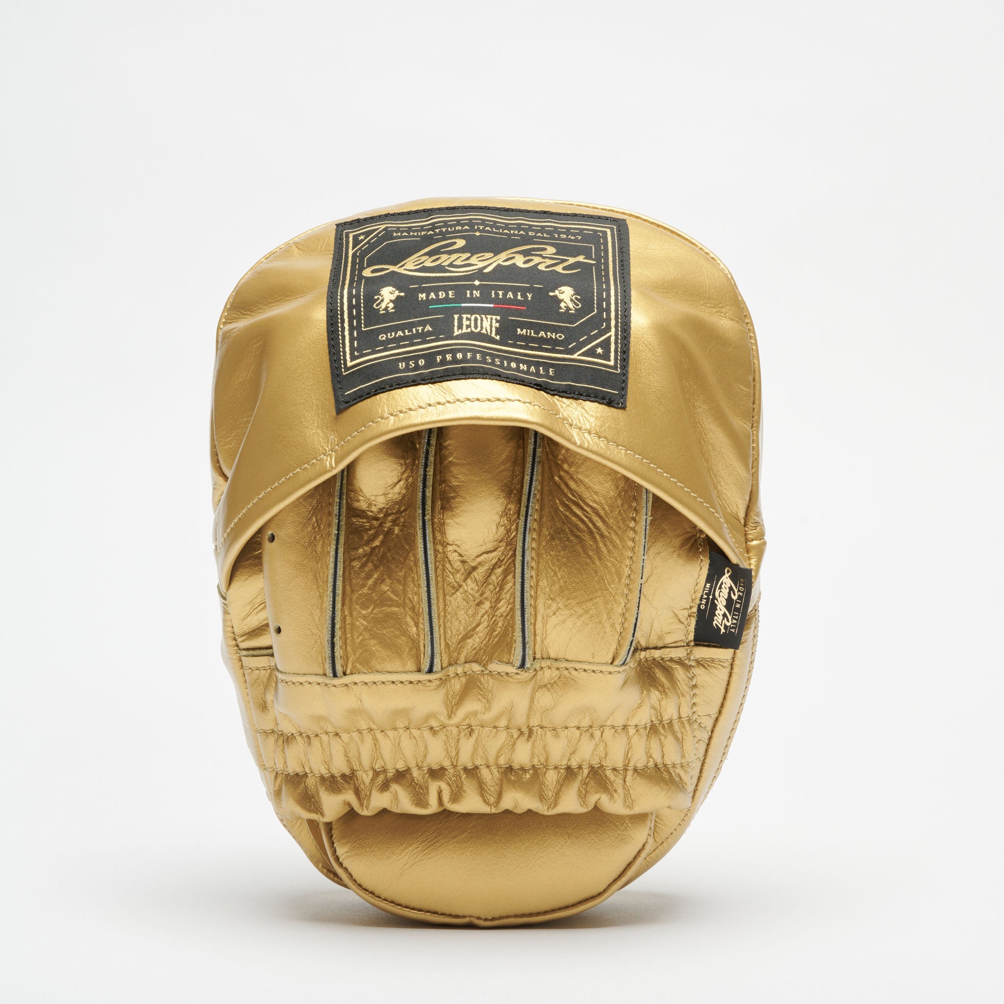 ARISTOTELE CLASSICO CURVED PUNCH MITTS