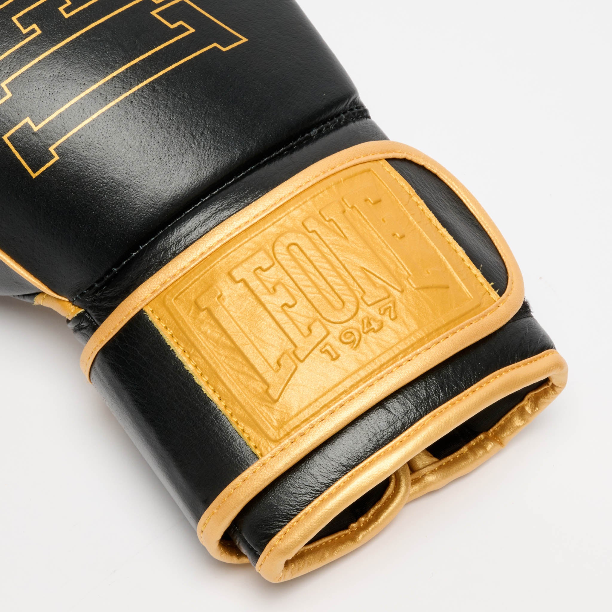 DNA PREMIUM BOXING GLOVES