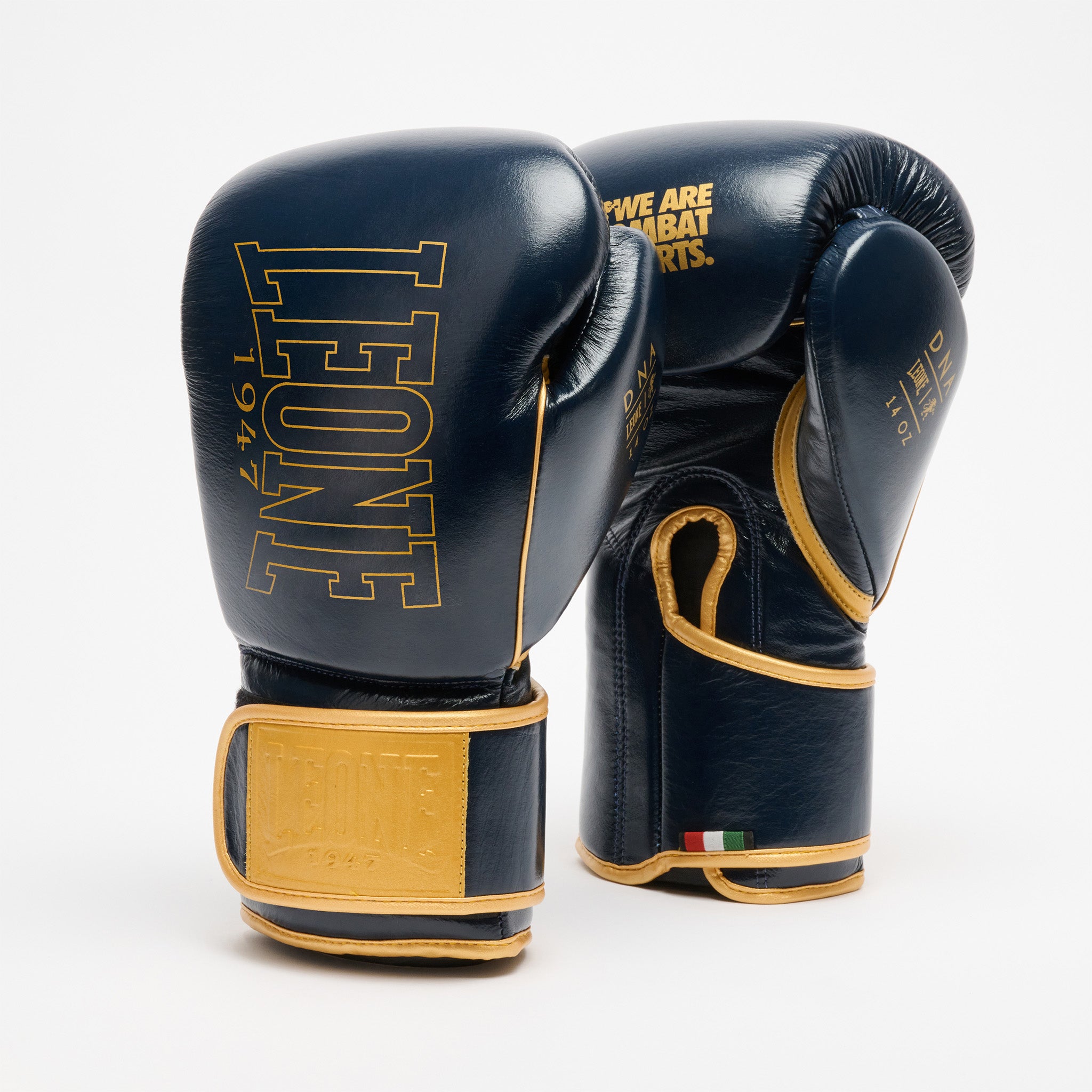 DNA PREMIUM BOXING GLOVES GN002 black | Leone 1947 Official Shop