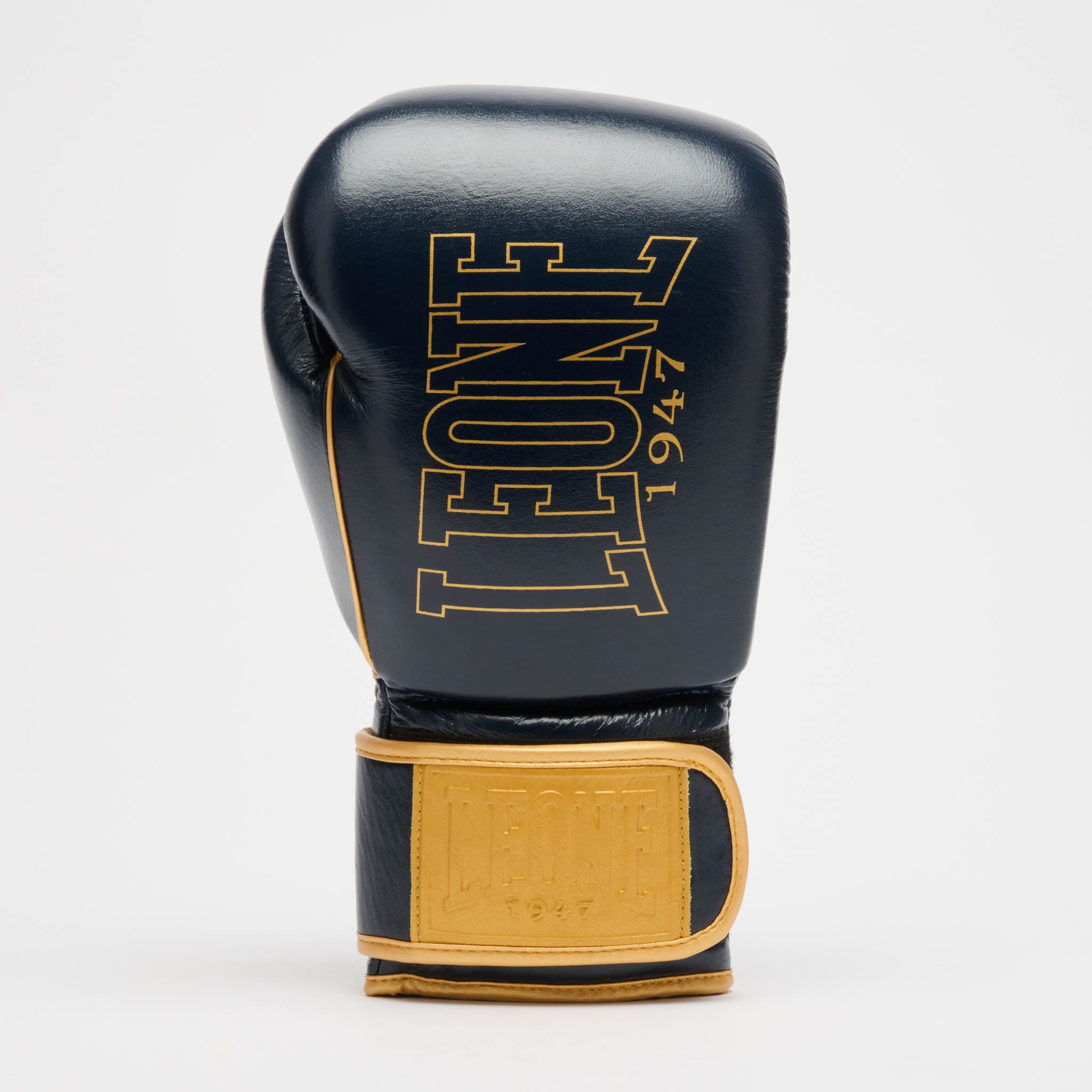 DNA PREMIUM BOXING GLOVES