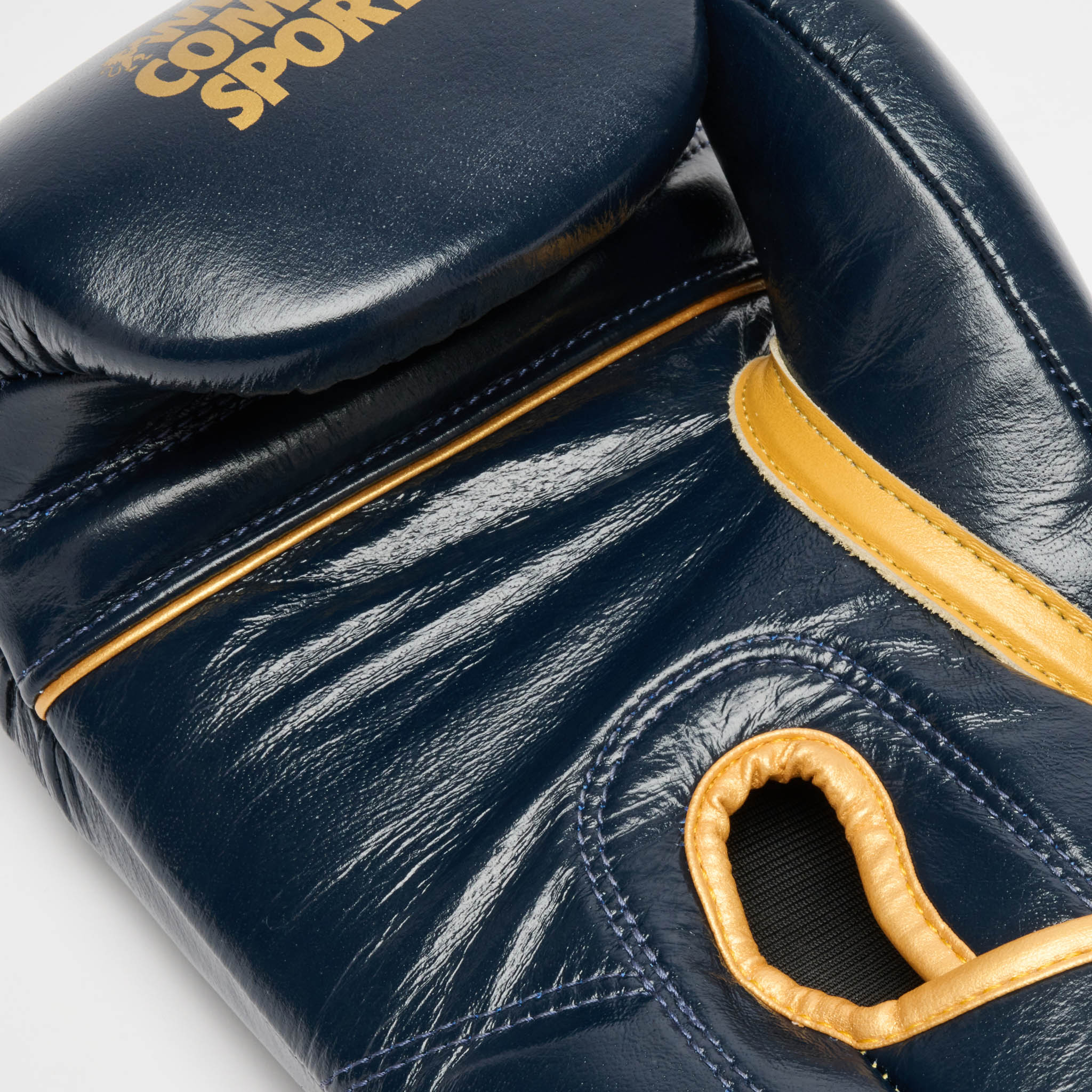 DNA PREMIUM BOXING GLOVES