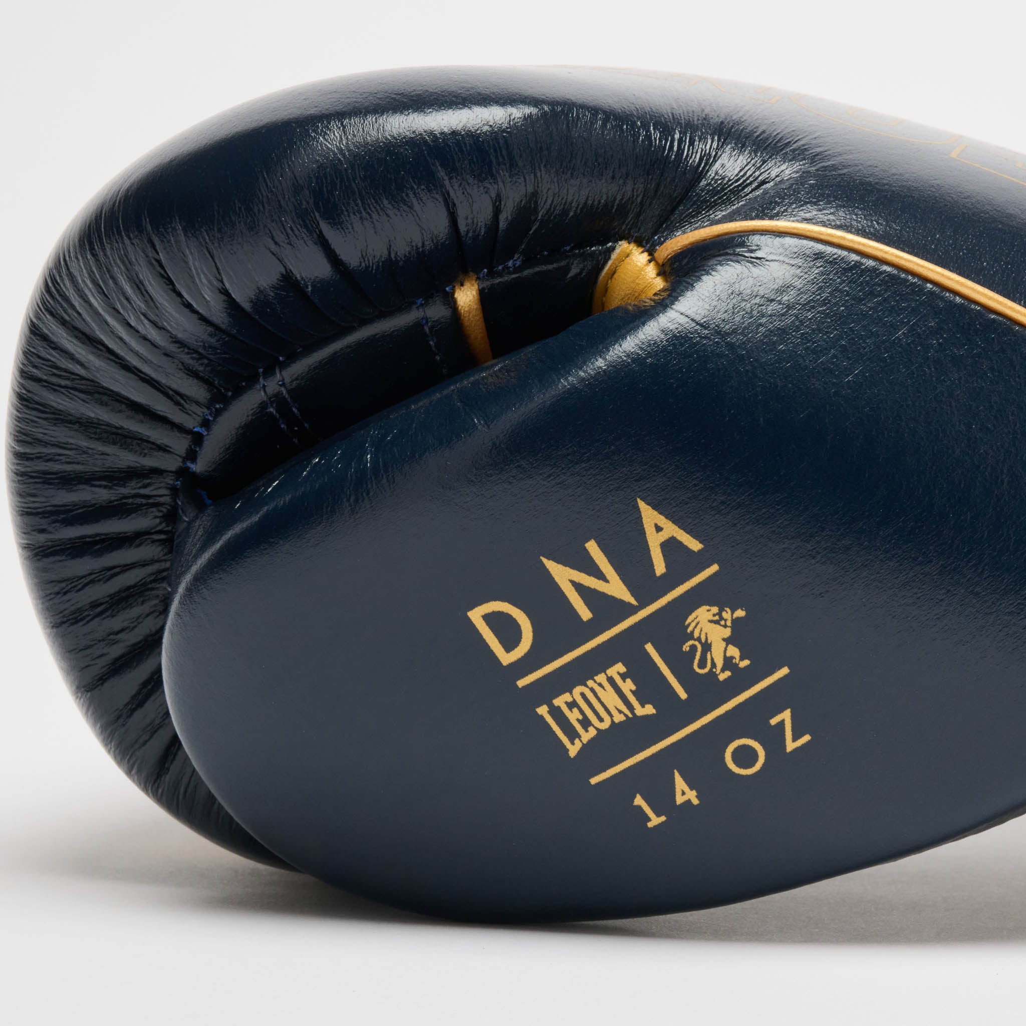 DNA PREMIUM BOXING GLOVES