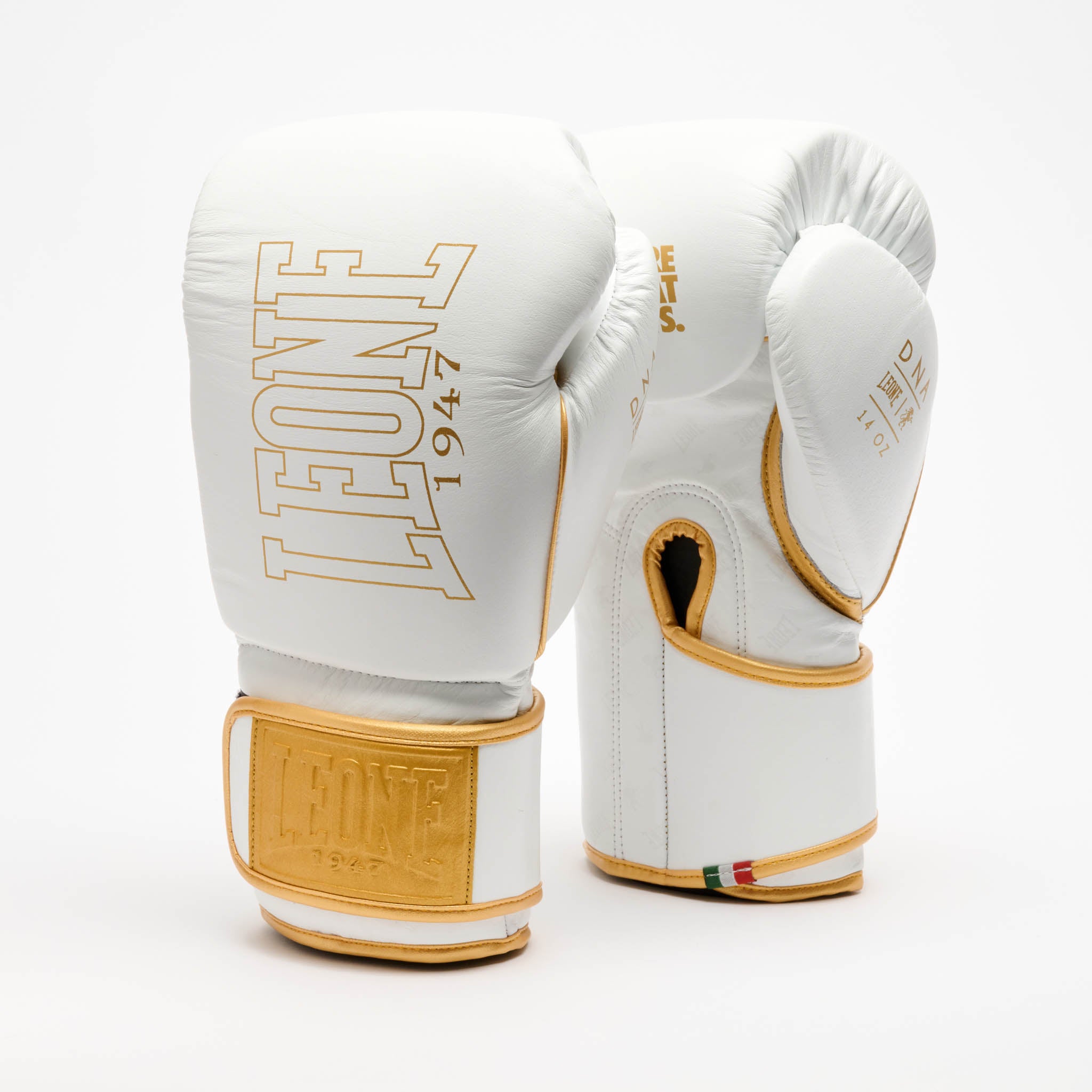 GUANTONE DA BOXE DNA PREMIUM