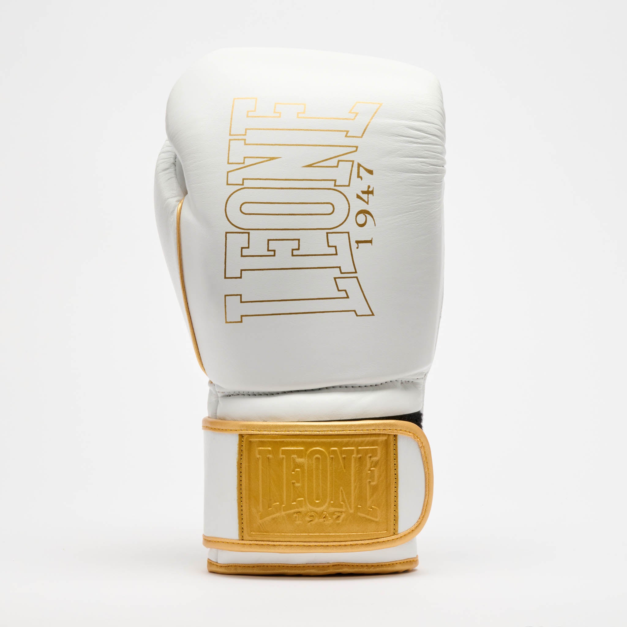 GUANTONE DA BOXE DNA PREMIUM