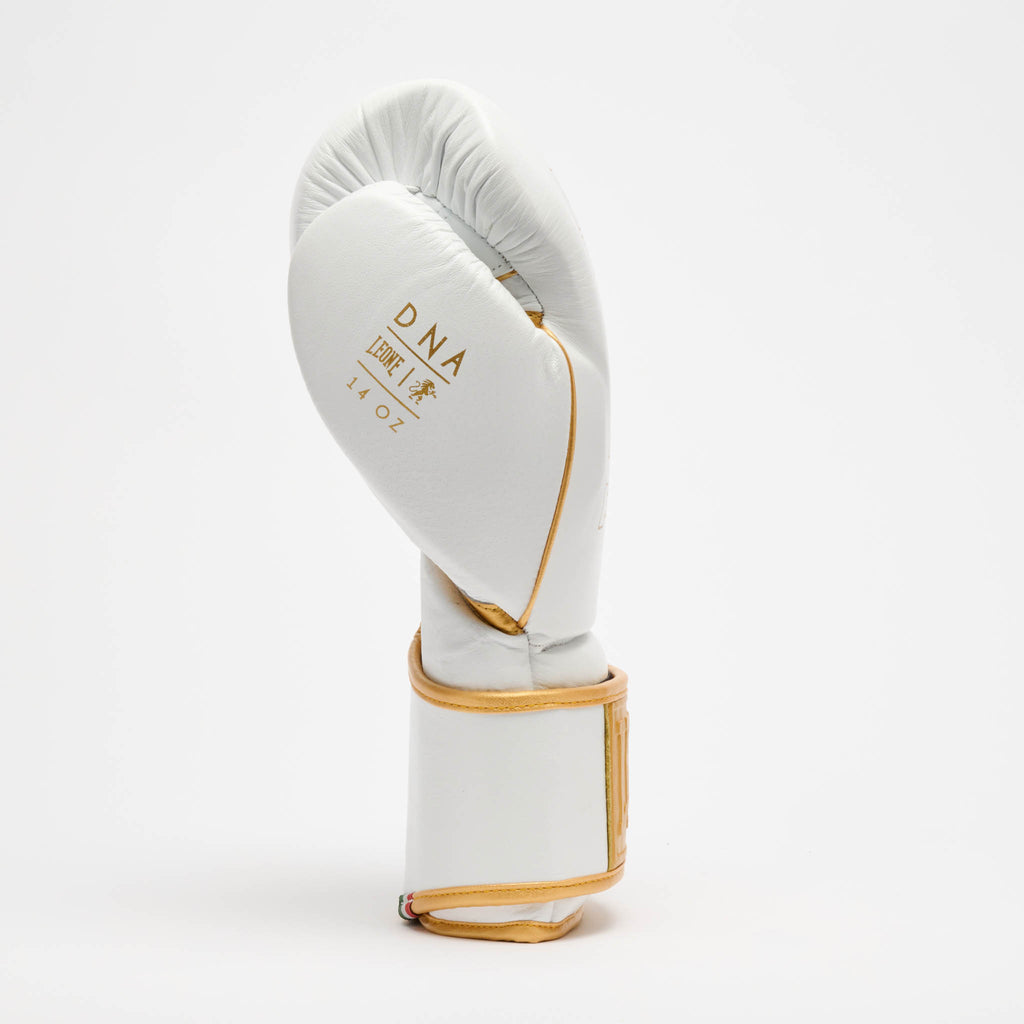 GUANTONE DA BOXE DNA PREMIUM