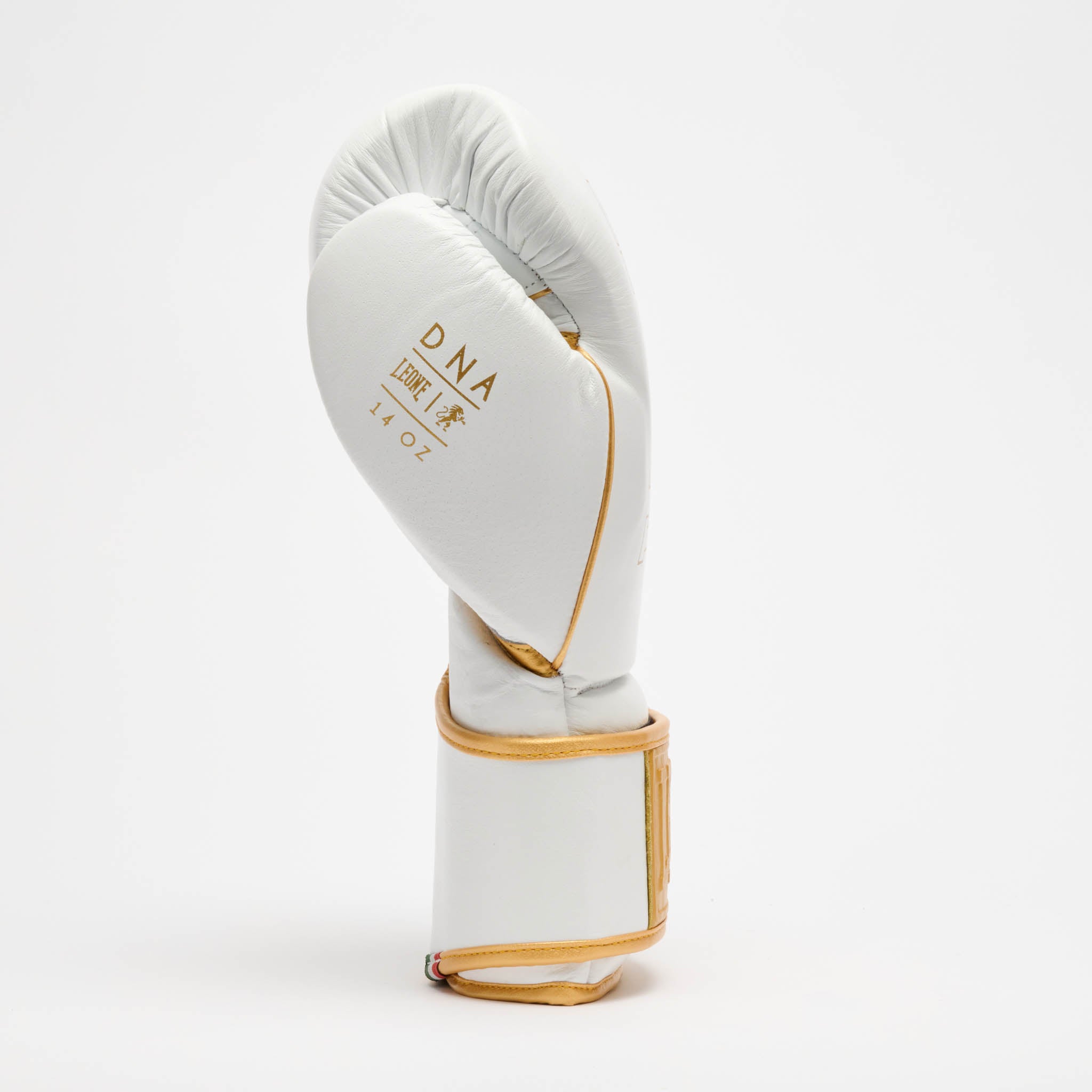 GUANTONE DA BOXE DNA PREMIUM