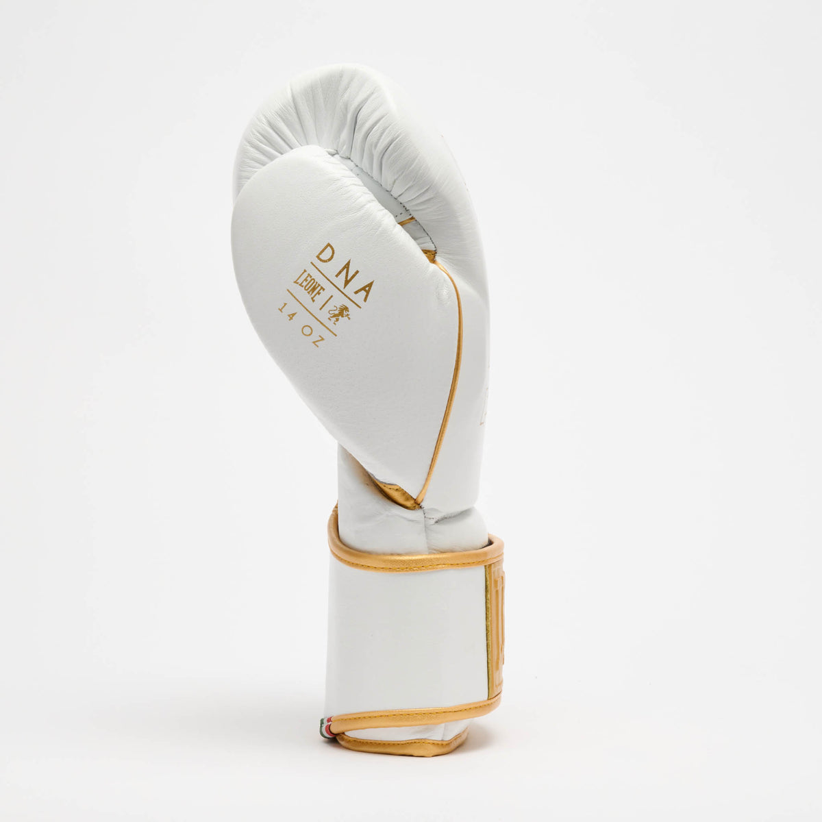 GUANTONE DA BOXE DNA PREMIUM