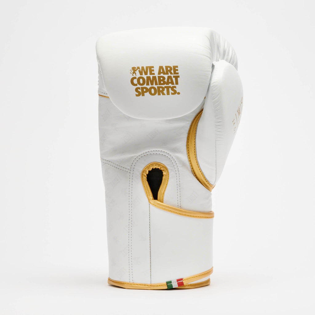 GUANTONE DA BOXE DNA PREMIUM