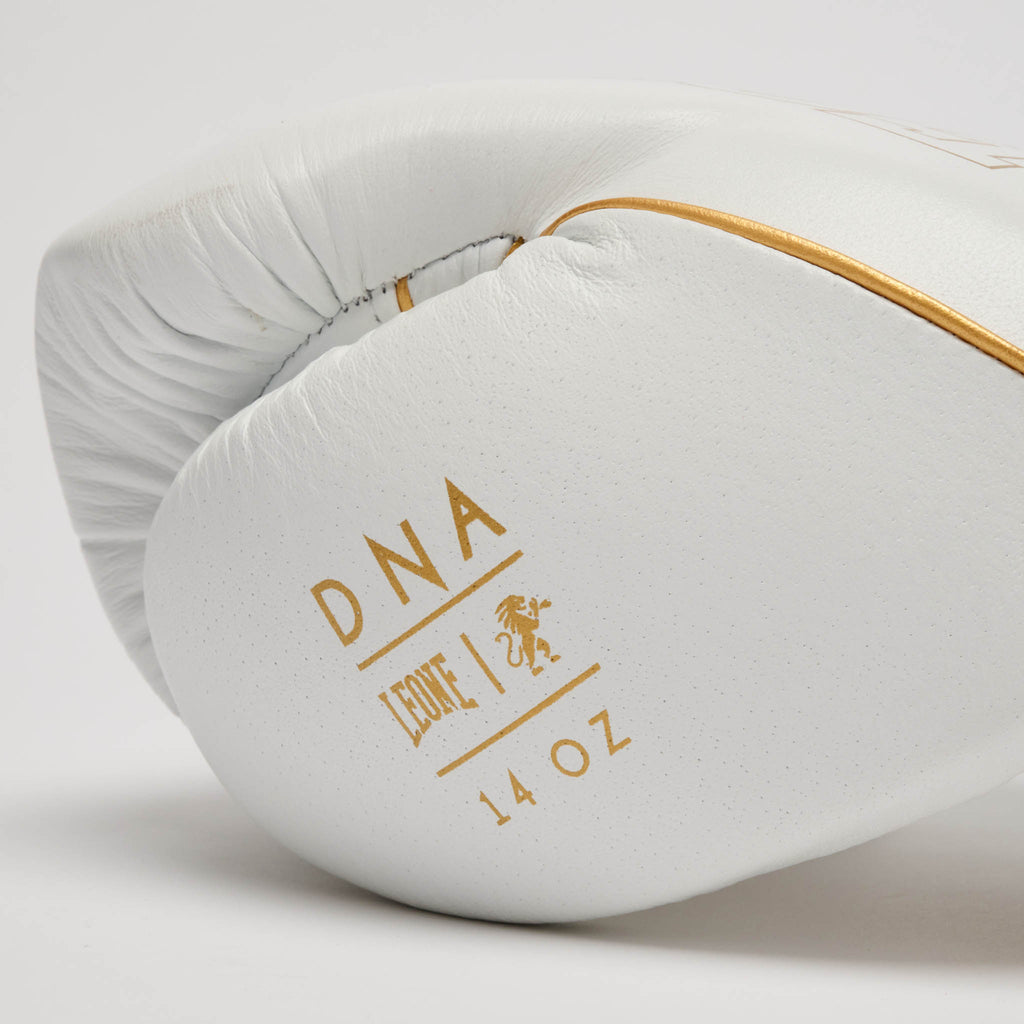 GUANTONE DA BOXE DNA PREMIUM
