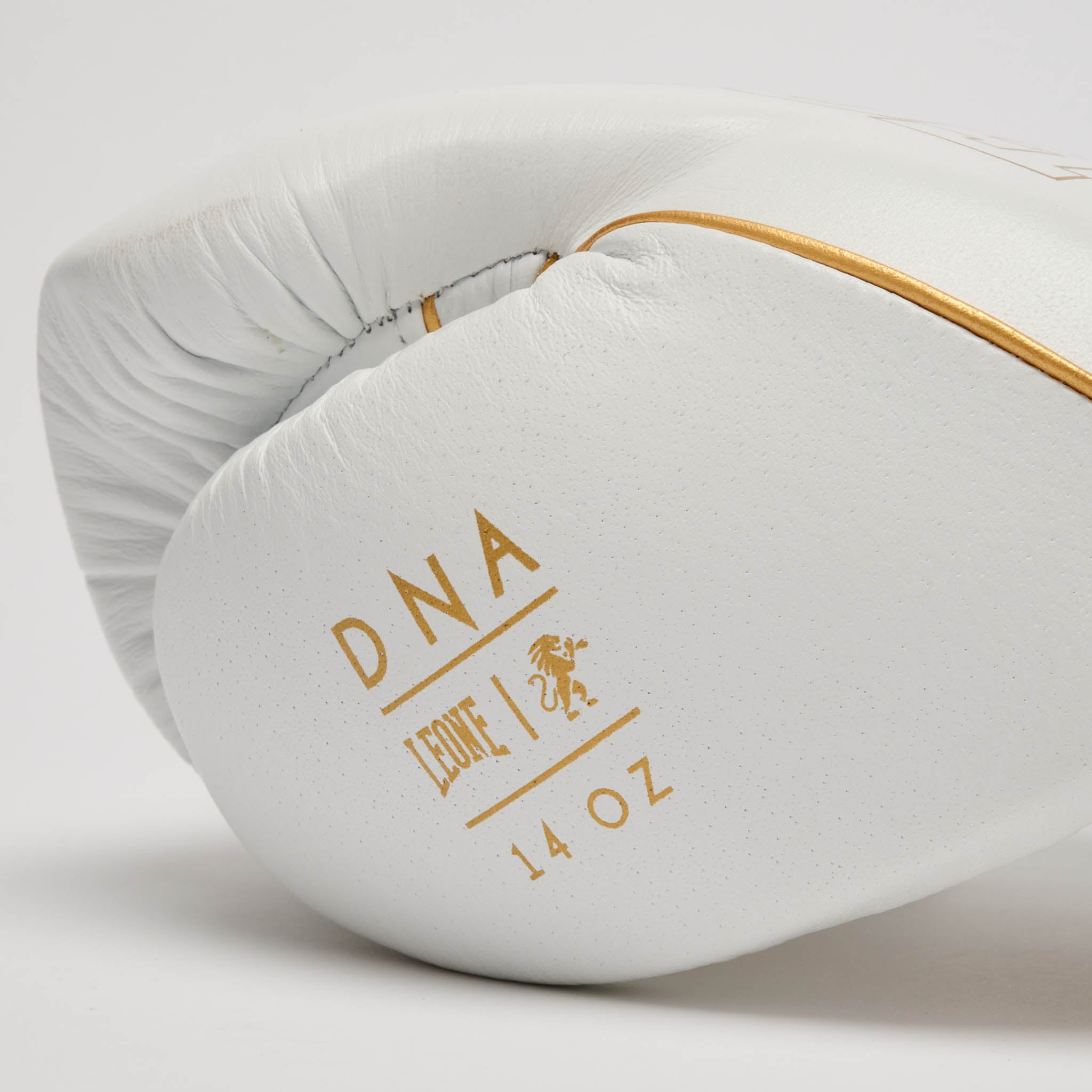 GUANTONE DA BOXE DNA PREMIUM
