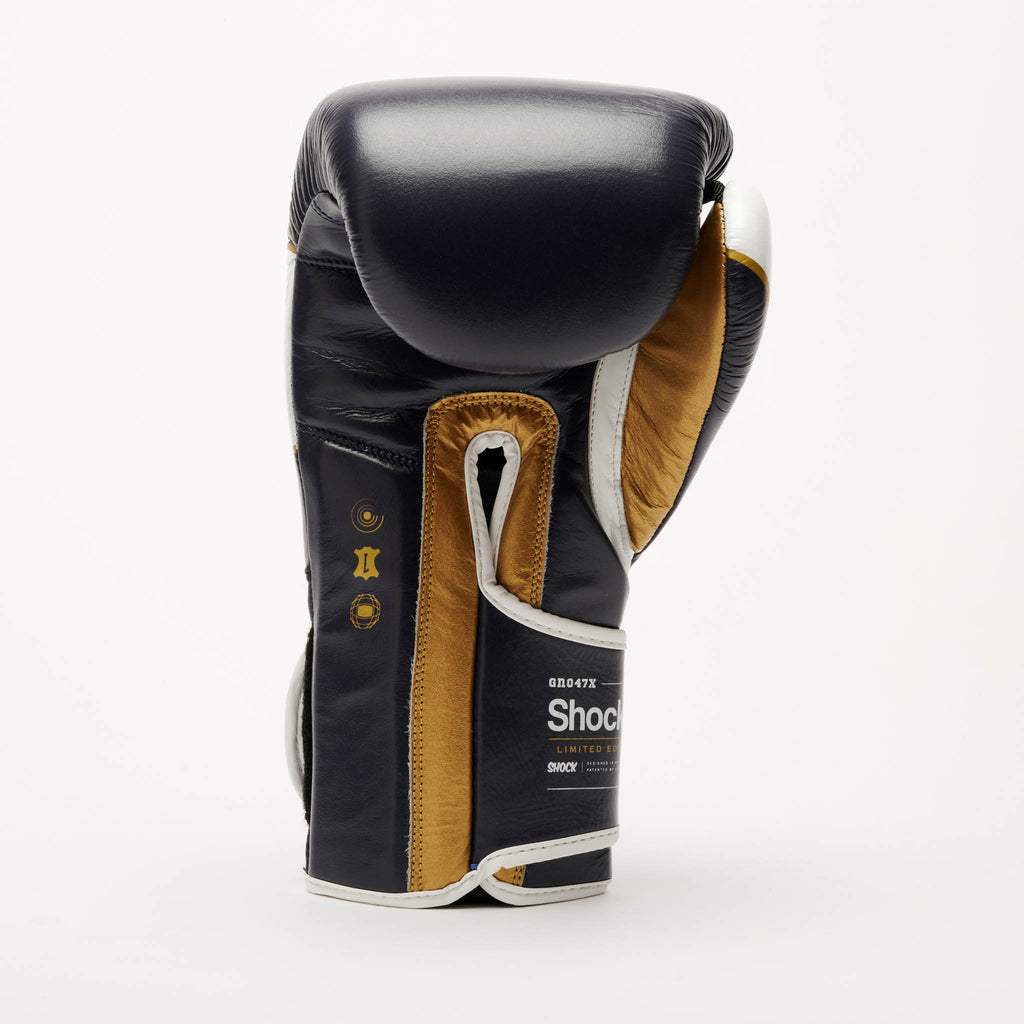 SHOCK X BOXING GLOVES