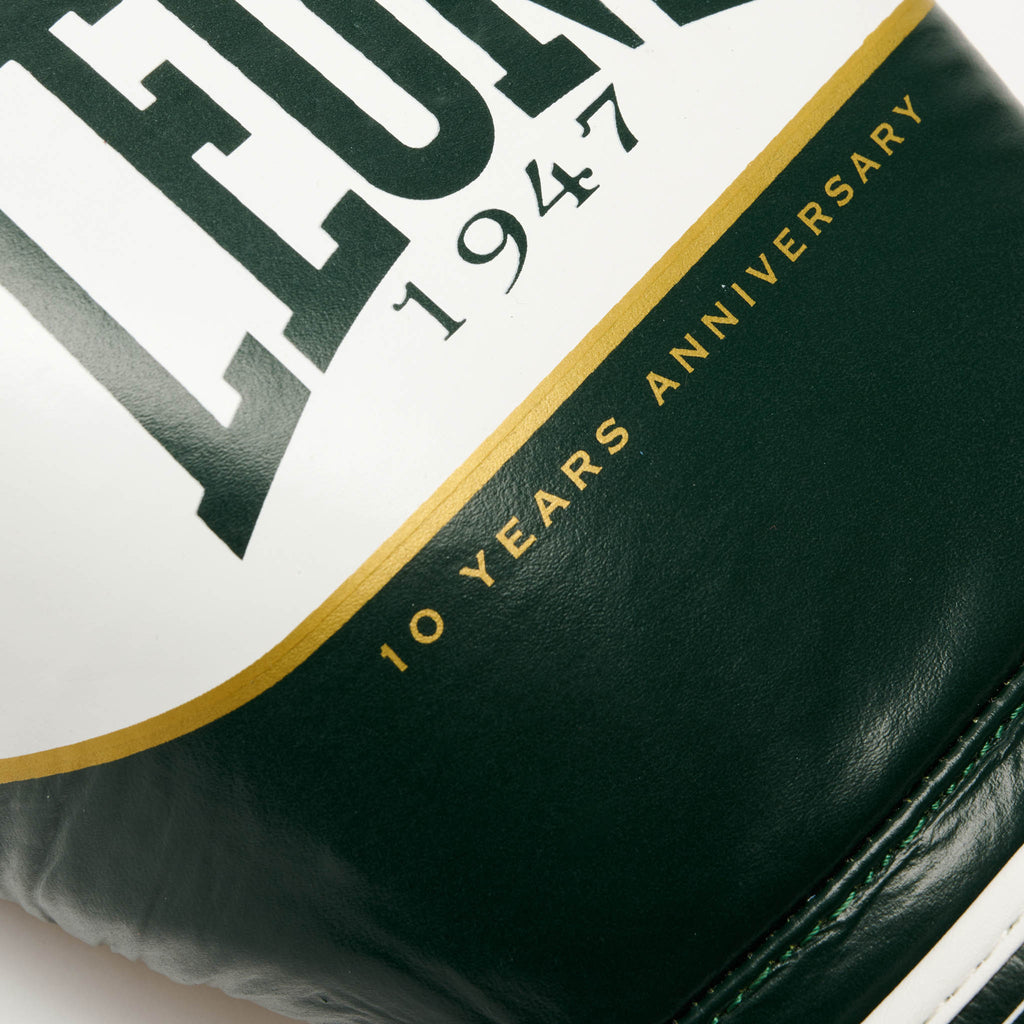 SHOCK X BOXING GLOVES