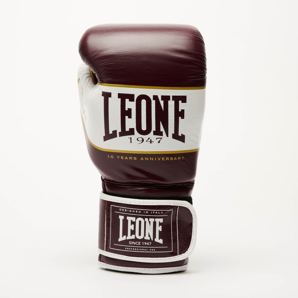 SHOCK X BOXING GLOVES