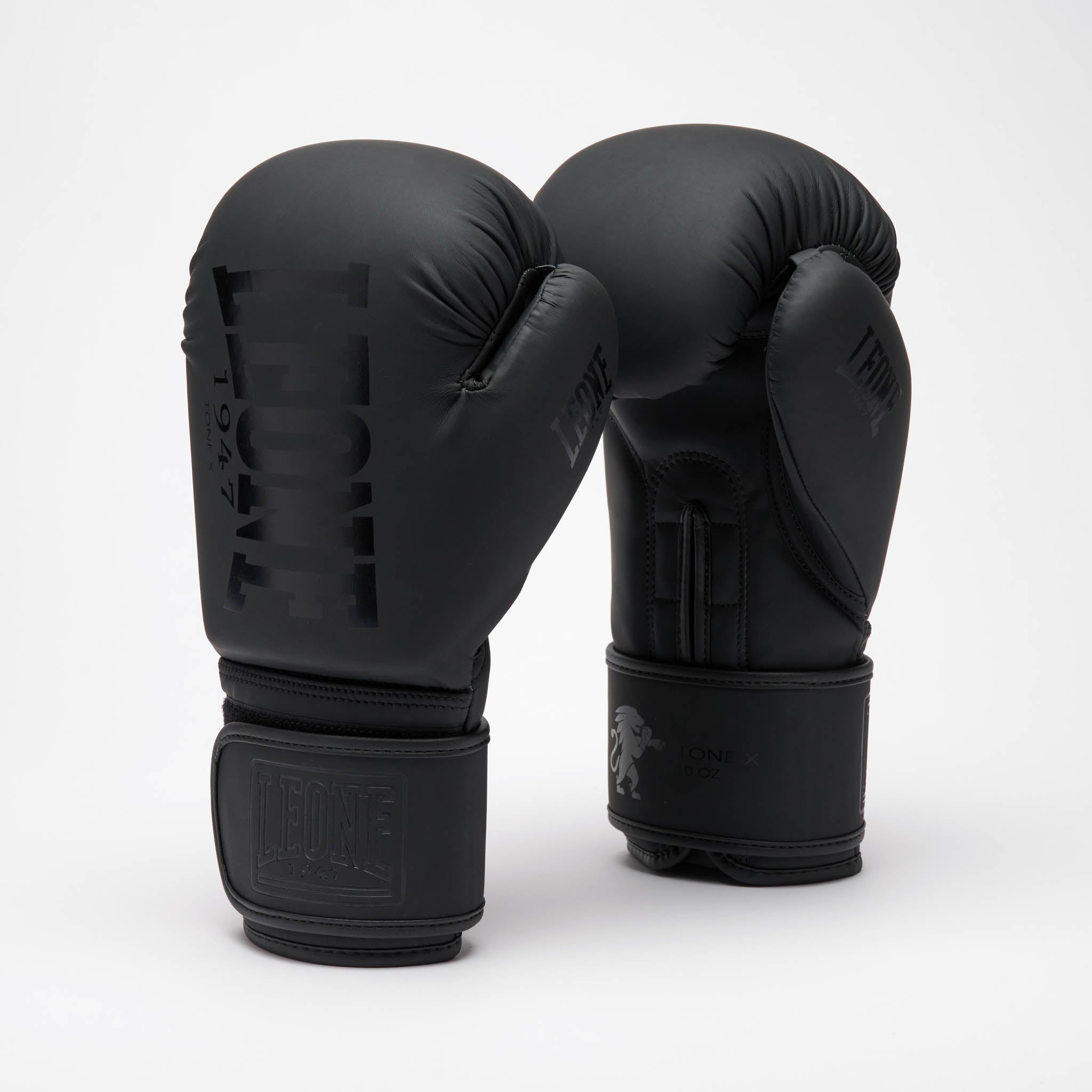 GUANTI DA BOXE TONE X