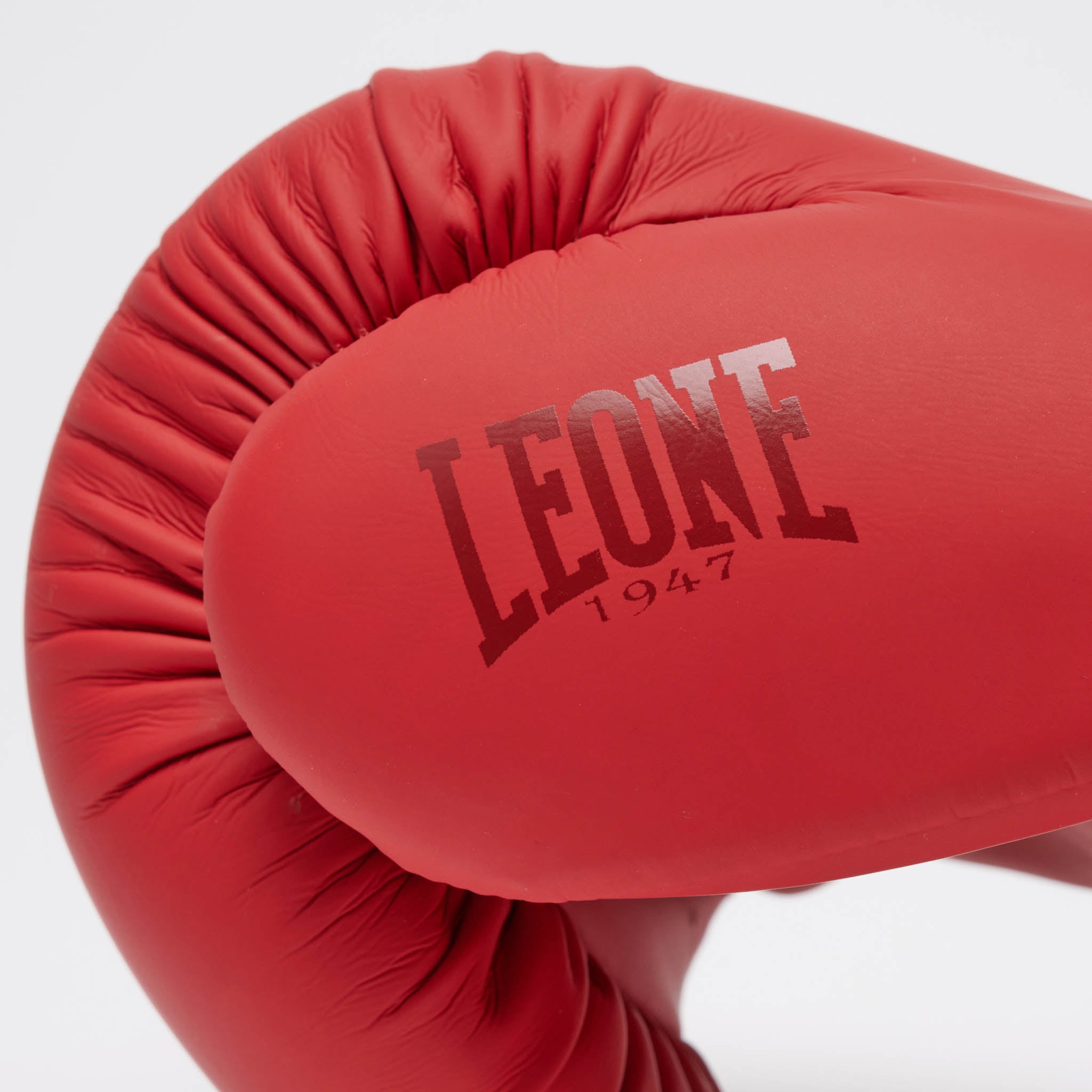 GUANTI DA BOXE TONE X