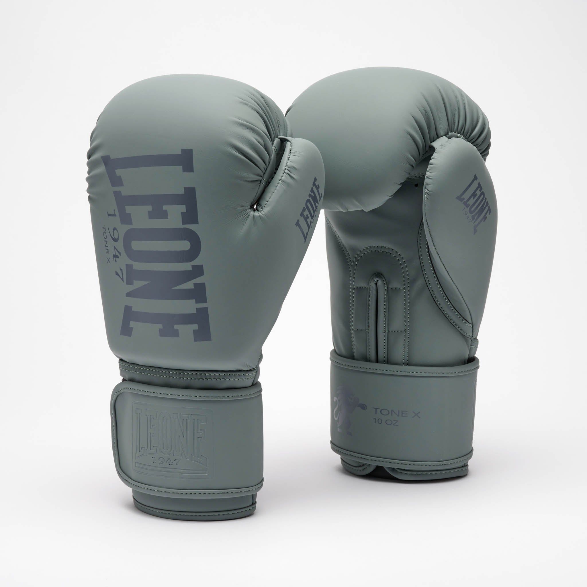 GUANTI DA BOXE TONE X