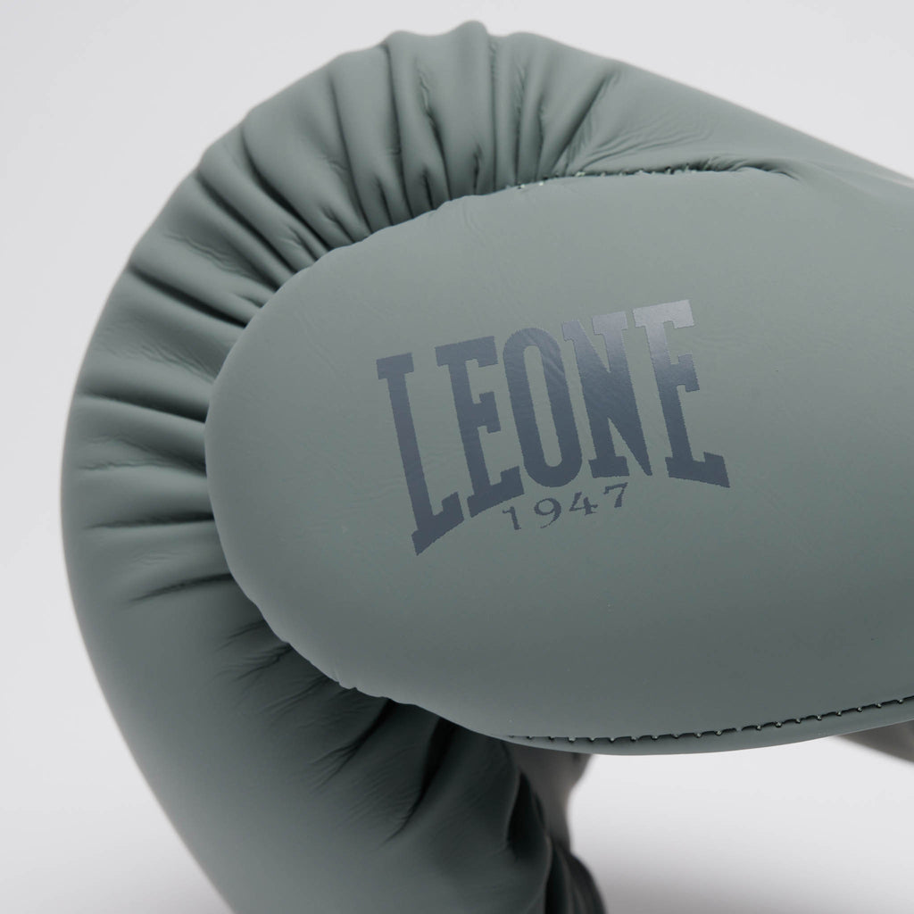 GUANTI DA BOXE TONE X