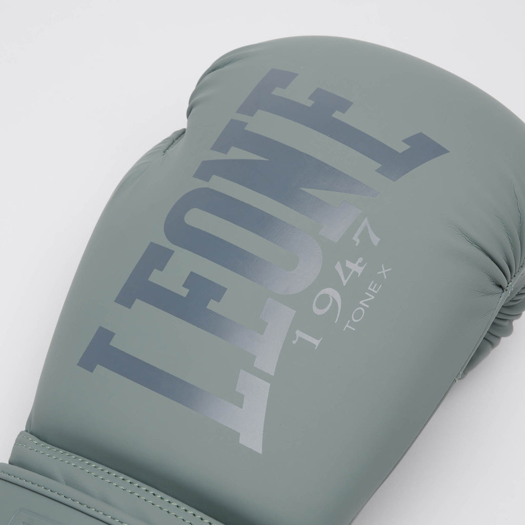 GUANTI DA BOXE TONE X
