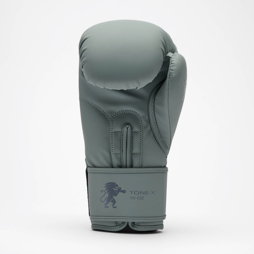 GUANTI DA BOXE TONE X