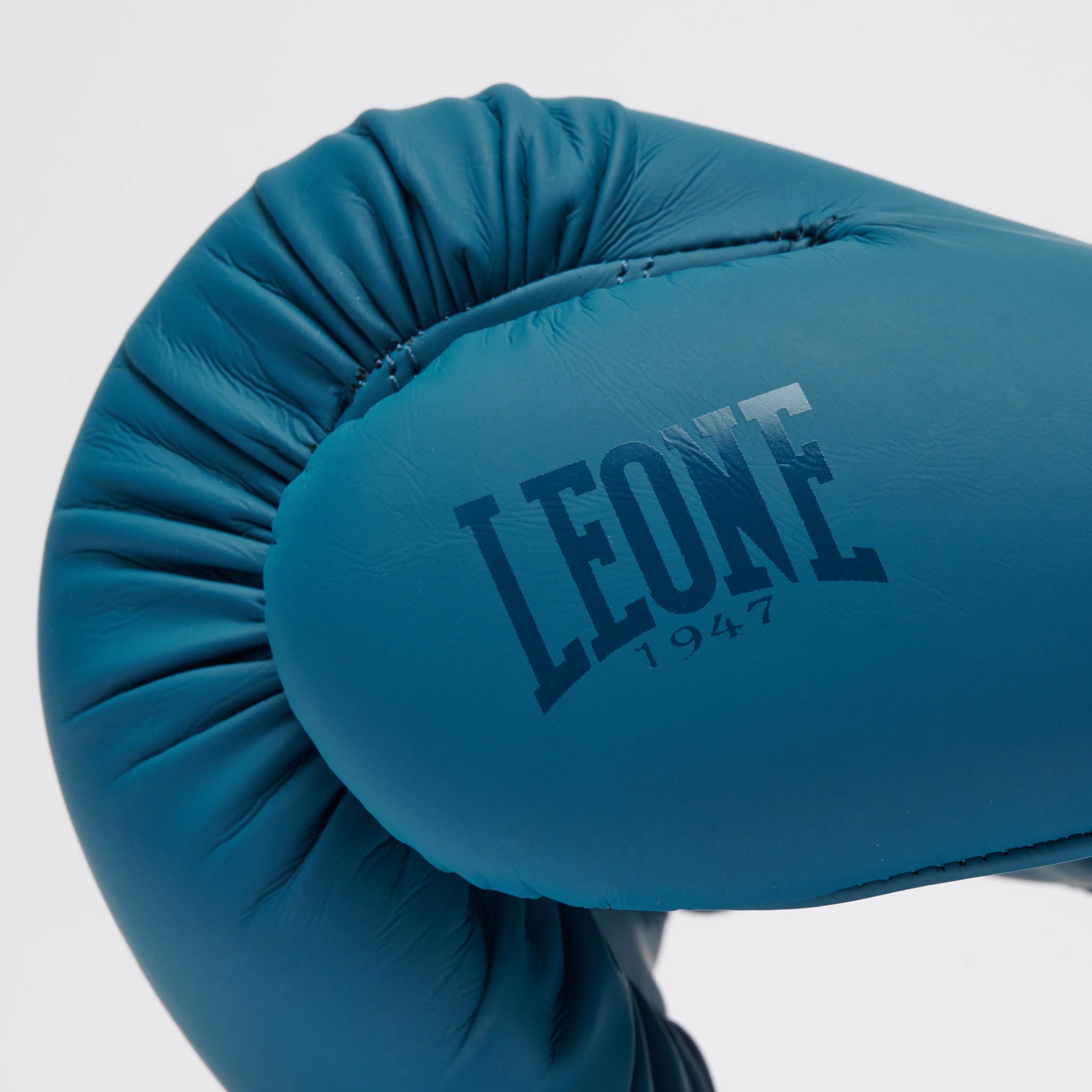 GUANTI DA BOXE TONE X