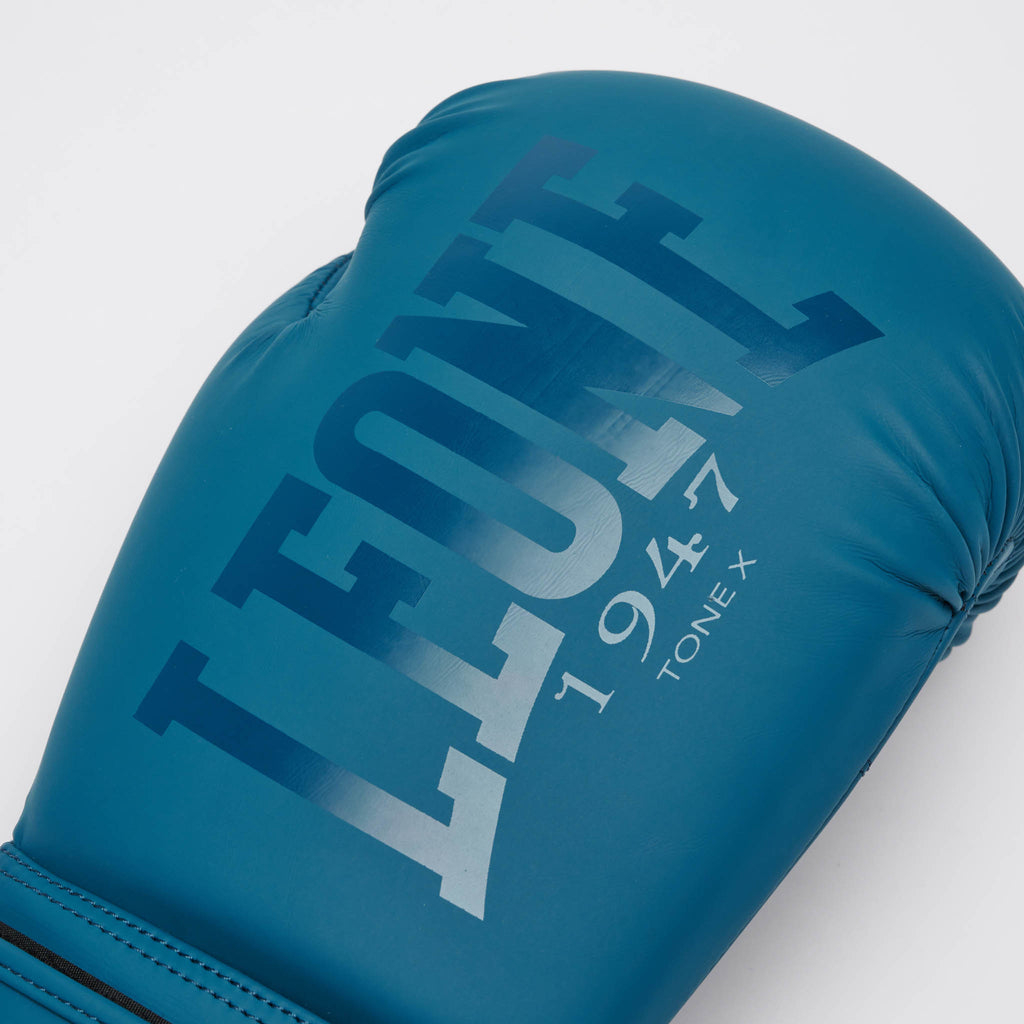 GUANTI DA BOXE TONE X