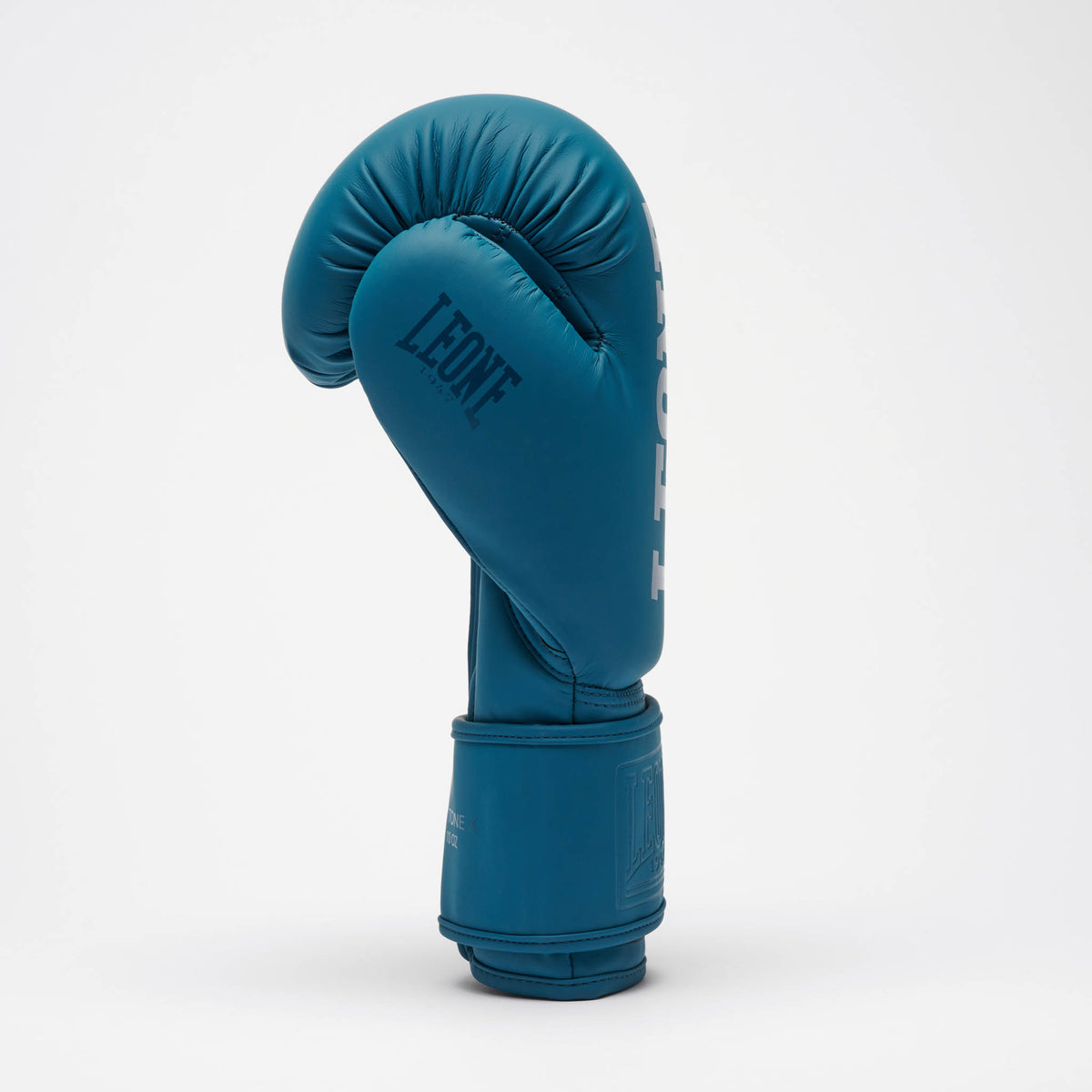 GUANTI DA BOXE TONE X