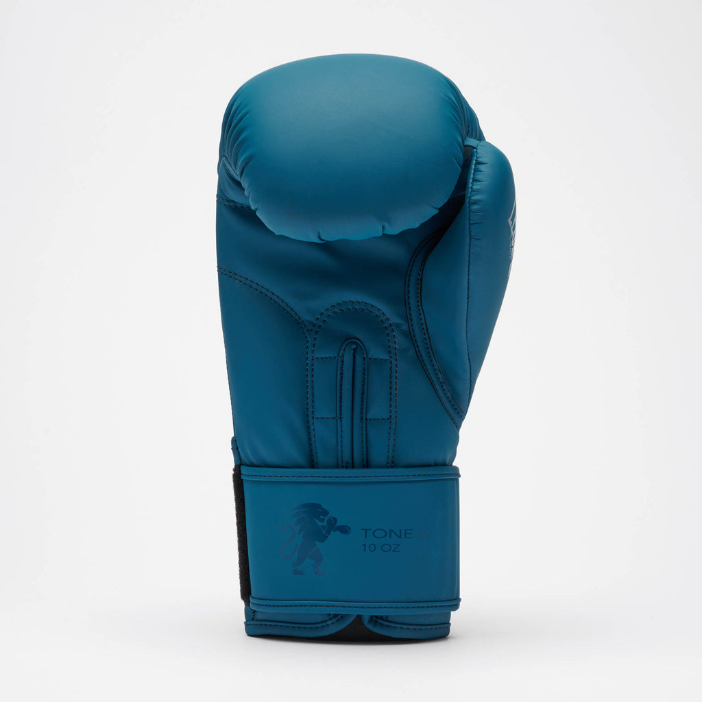 GUANTI DA BOXE TONE X