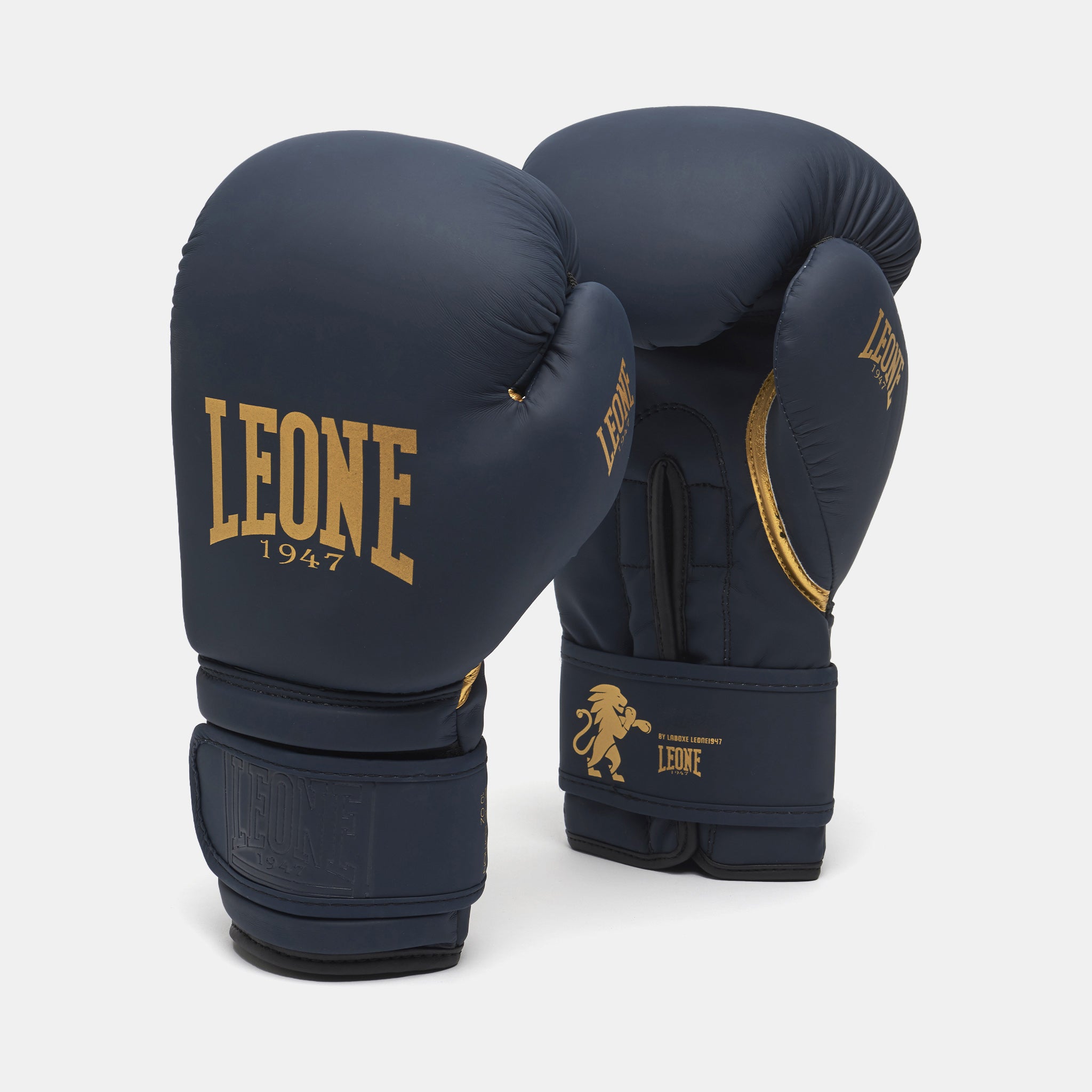 GUANTI BOXE IDOL