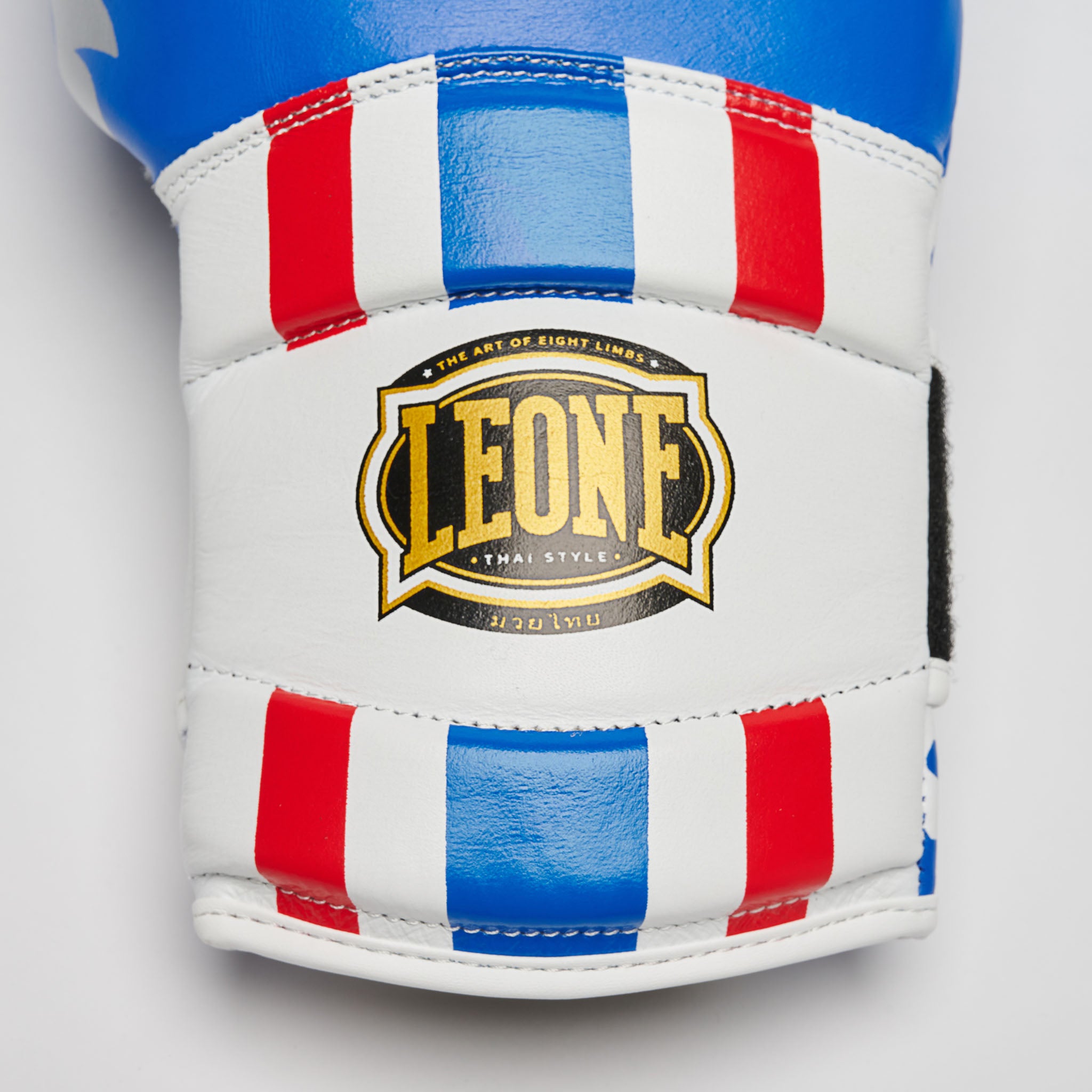 GUANTI BOXE THAI STYLE