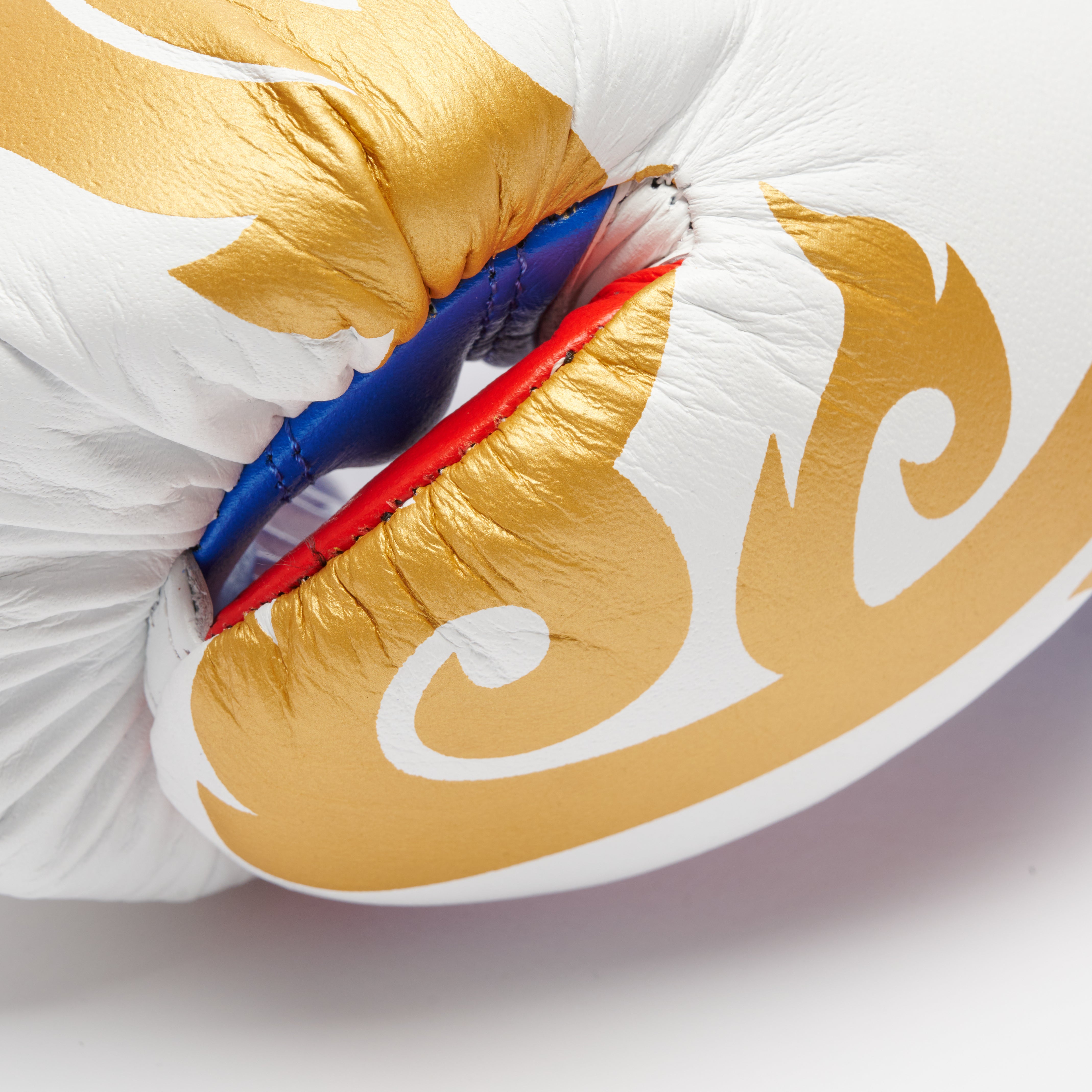 GUANTI BOXE THAI STYLE