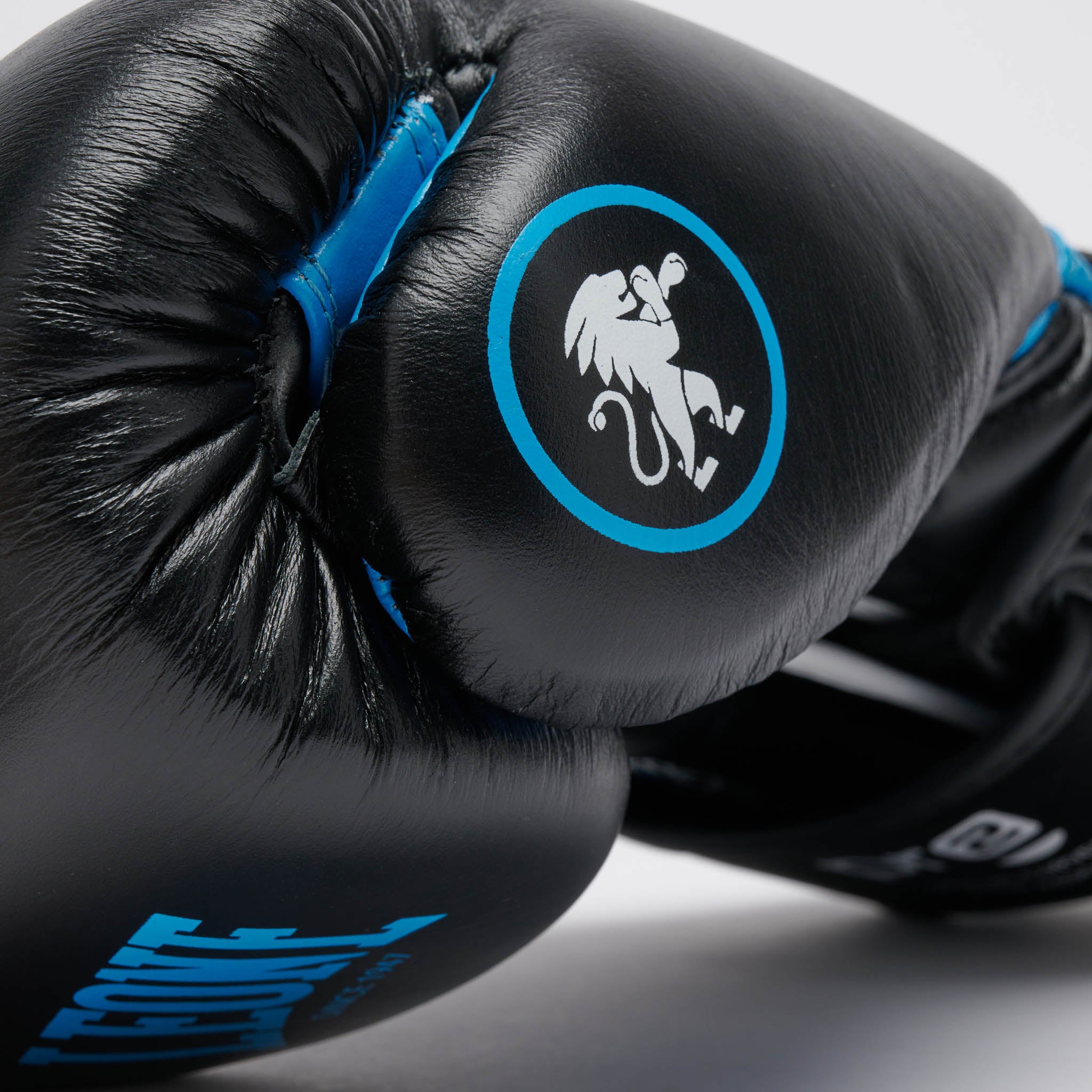 GUANTI BOXE PROFESSIONAL 2