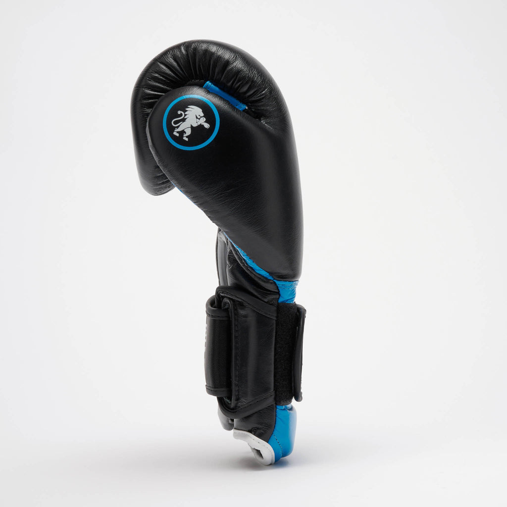 GUANTI BOXE PROFESSIONAL 2