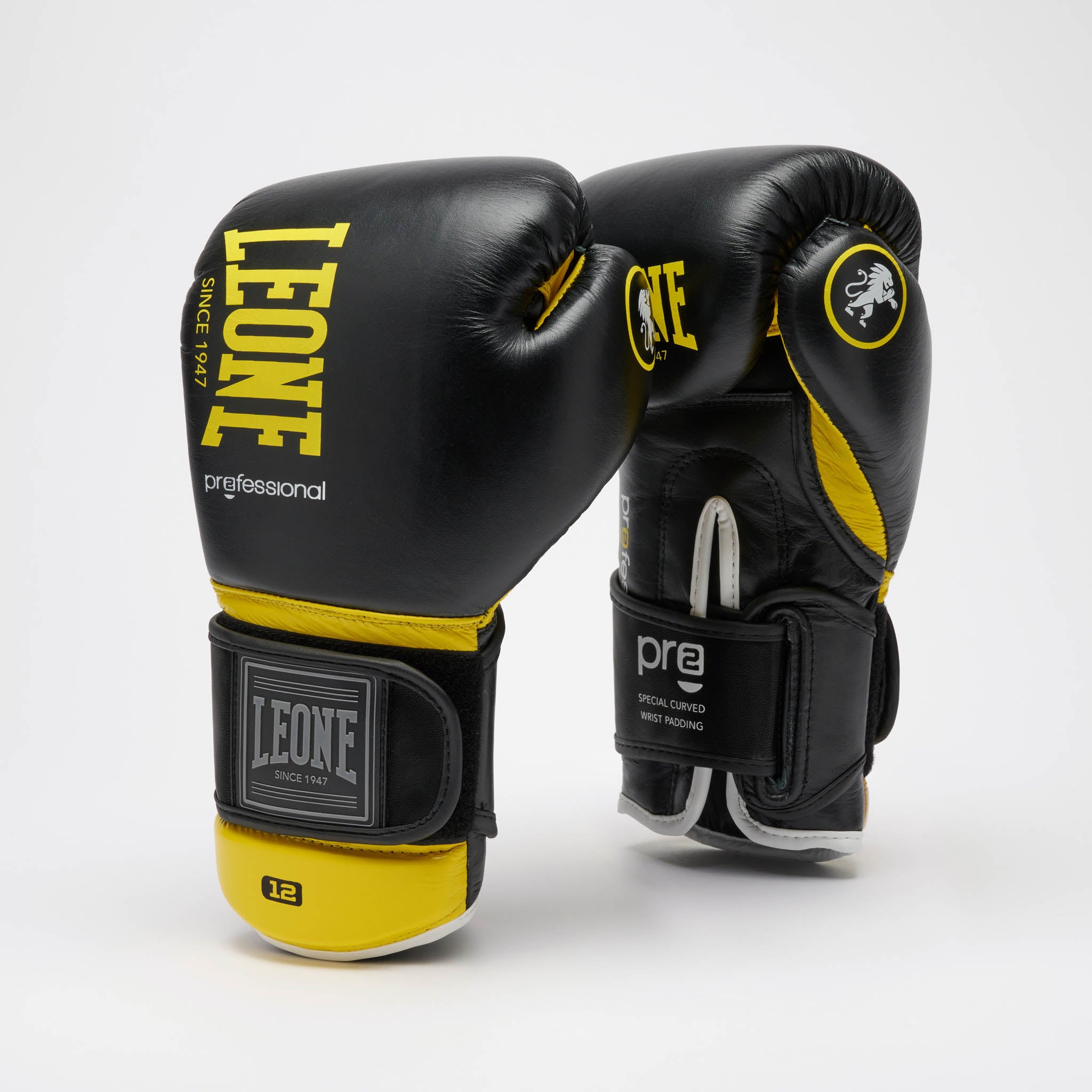 GUANTI BOXE PROFESSIONAL 2