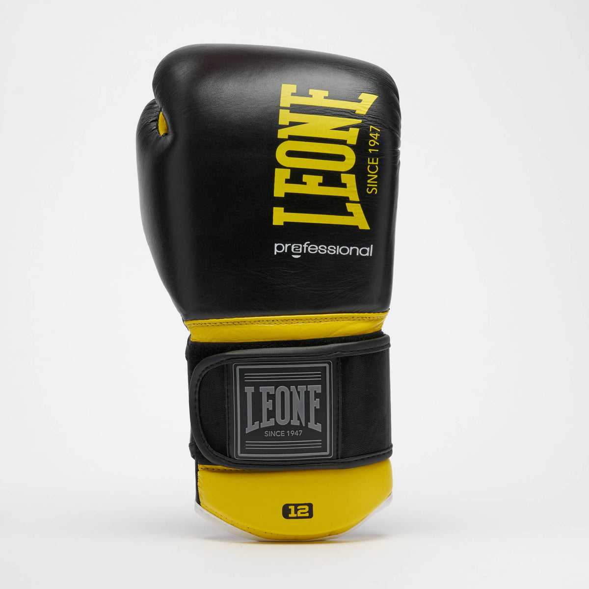 GUANTI BOXE PROFESSIONAL 2