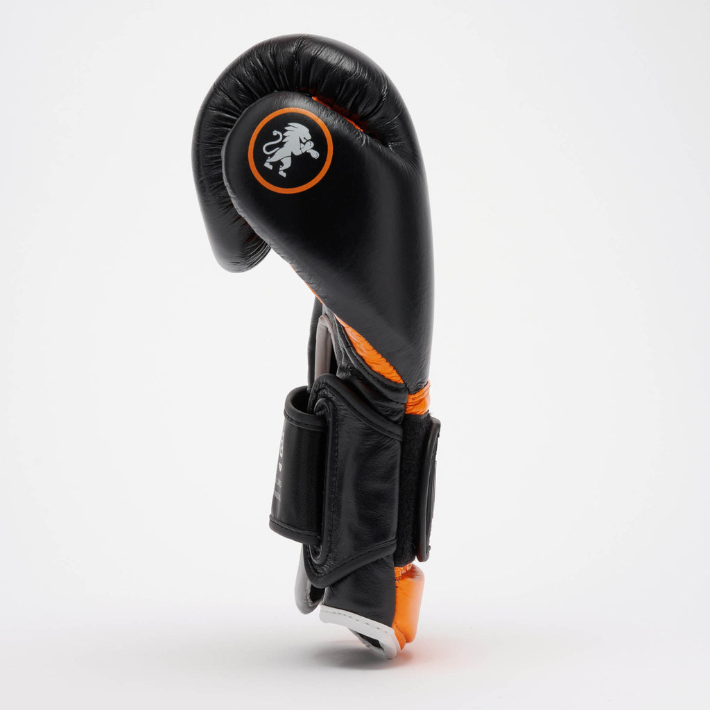 GUANTI BOXE PROFESSIONAL 2