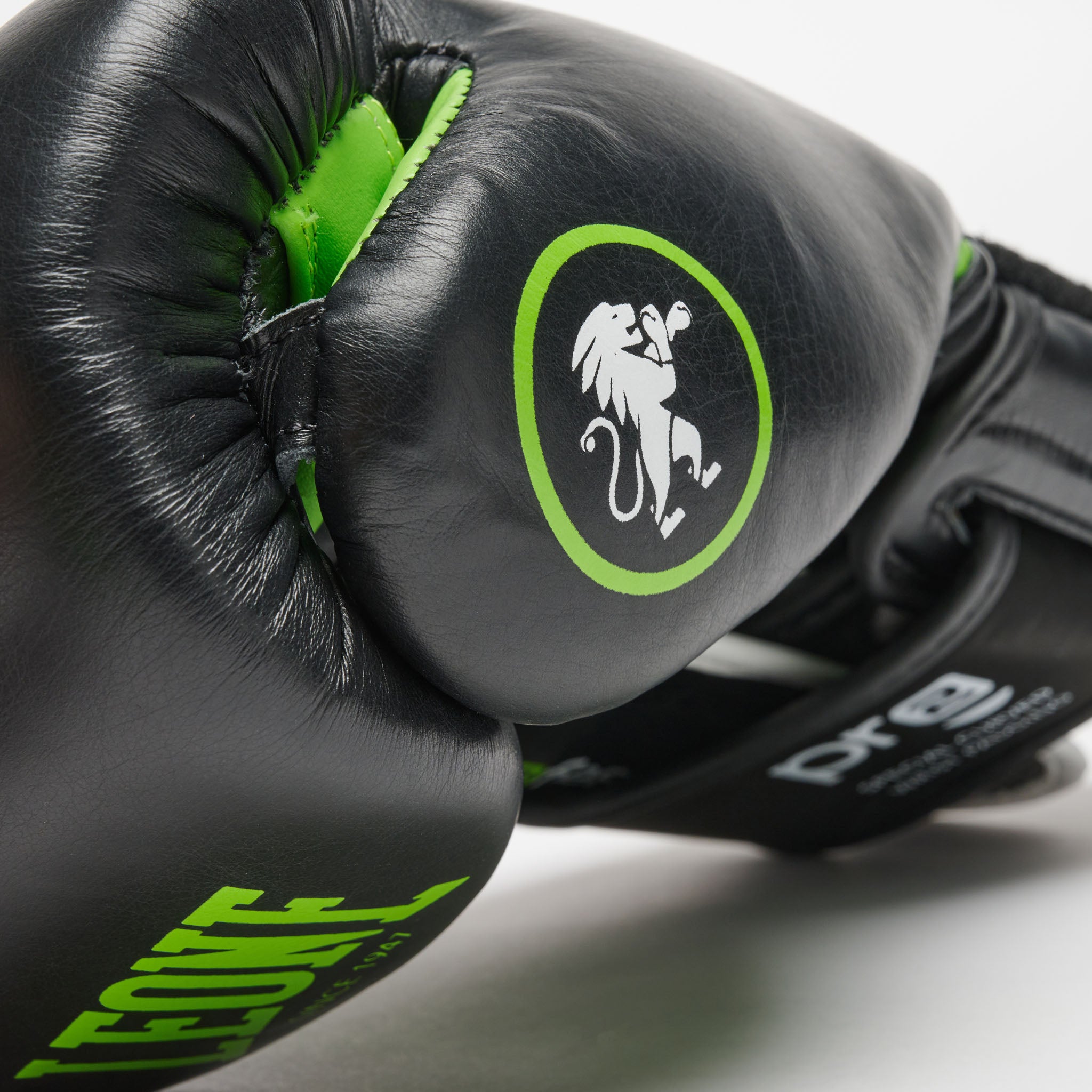 GUANTI BOXE PROFESSIONAL 2