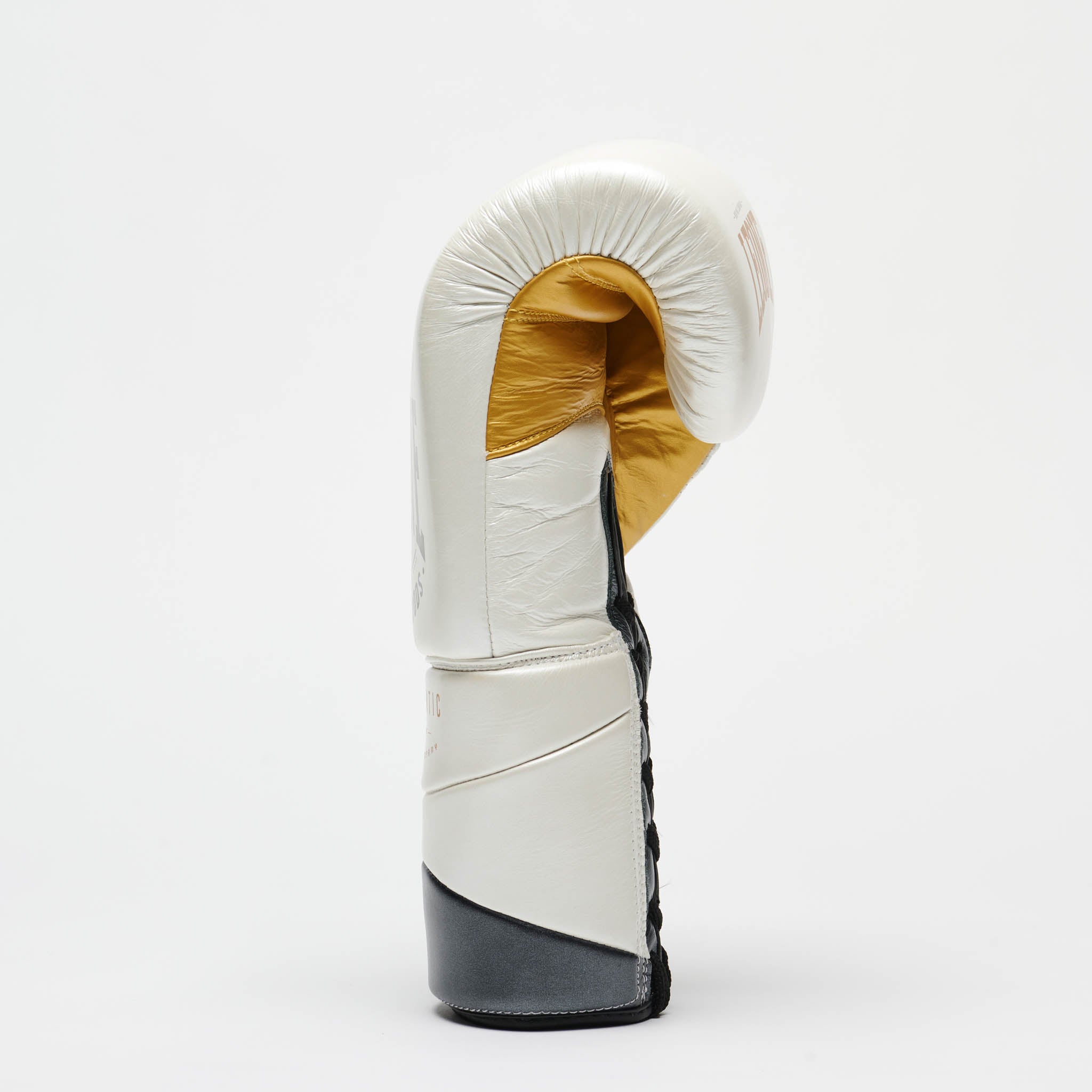 GUANTI BOXE AUTHENTIC 2