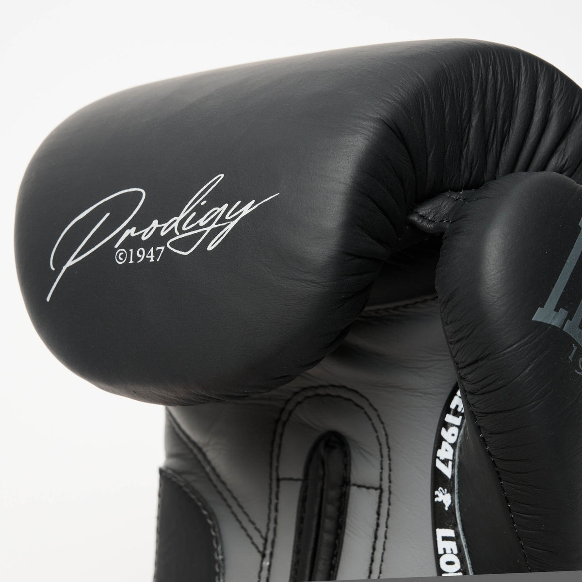 PRODIGY BOXING GLOVES