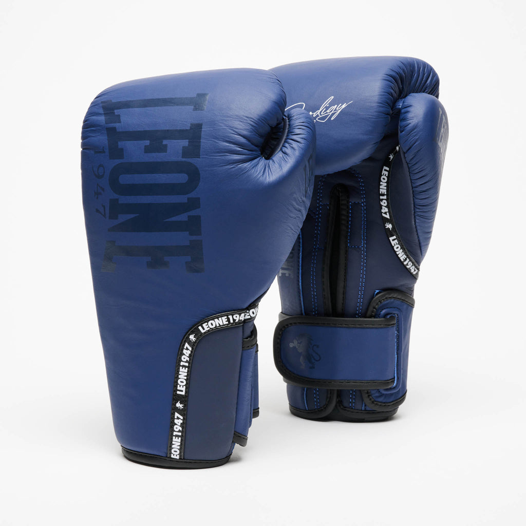 GUANTI DA BOXE PRODIGY