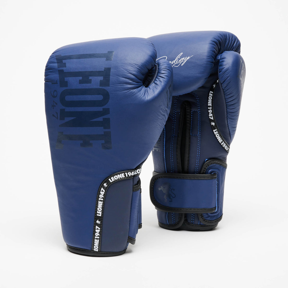 GUANTI DA BOXE PRODIGY