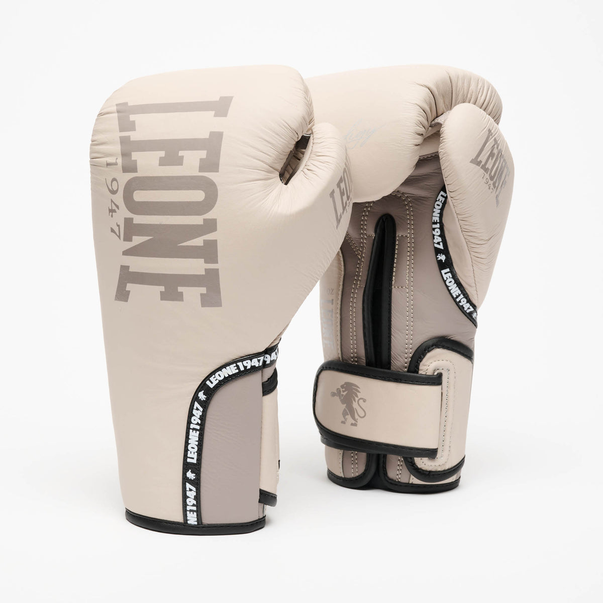 GUANTI DA BOXE PRODIGY