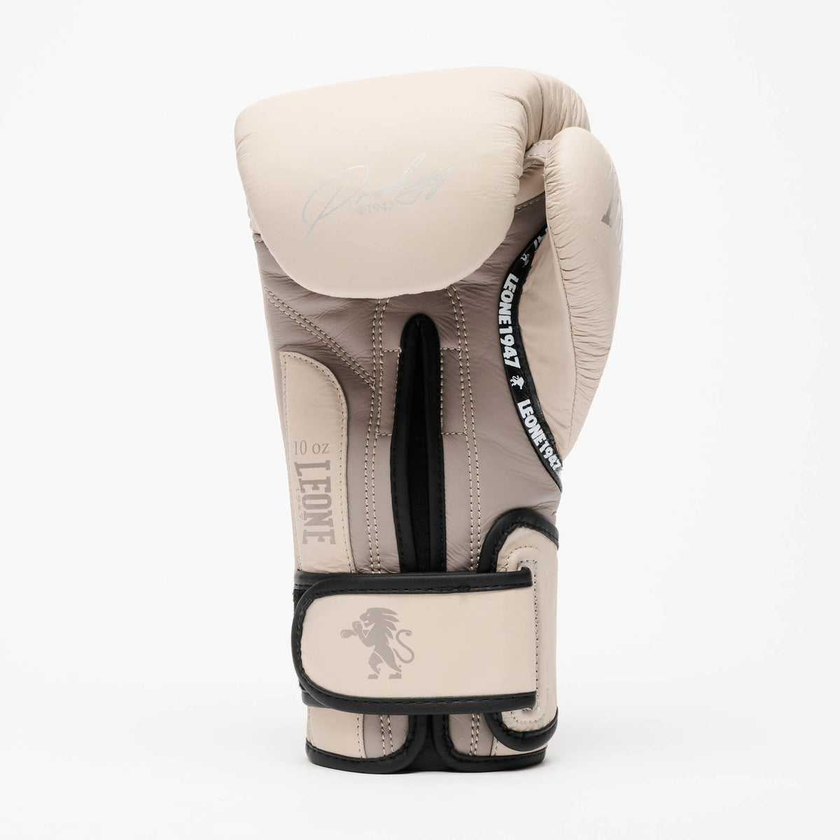GUANTI DA BOXE PRODIGY