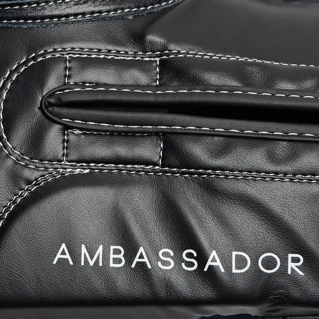 AMBASSADOR BOXING GLOVES