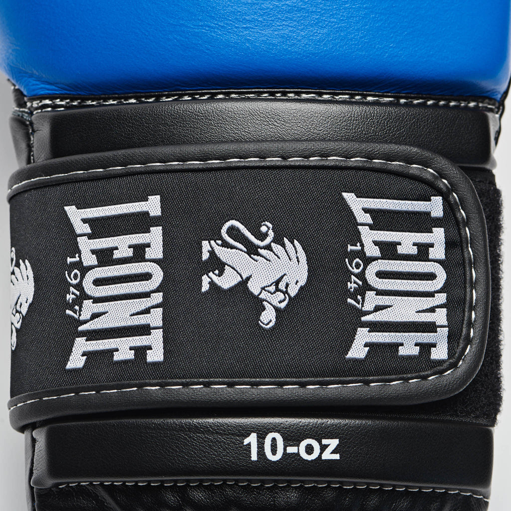 AMBASSADOR BOXING GLOVES