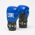 AMBASSADOR BOXING GLOVES