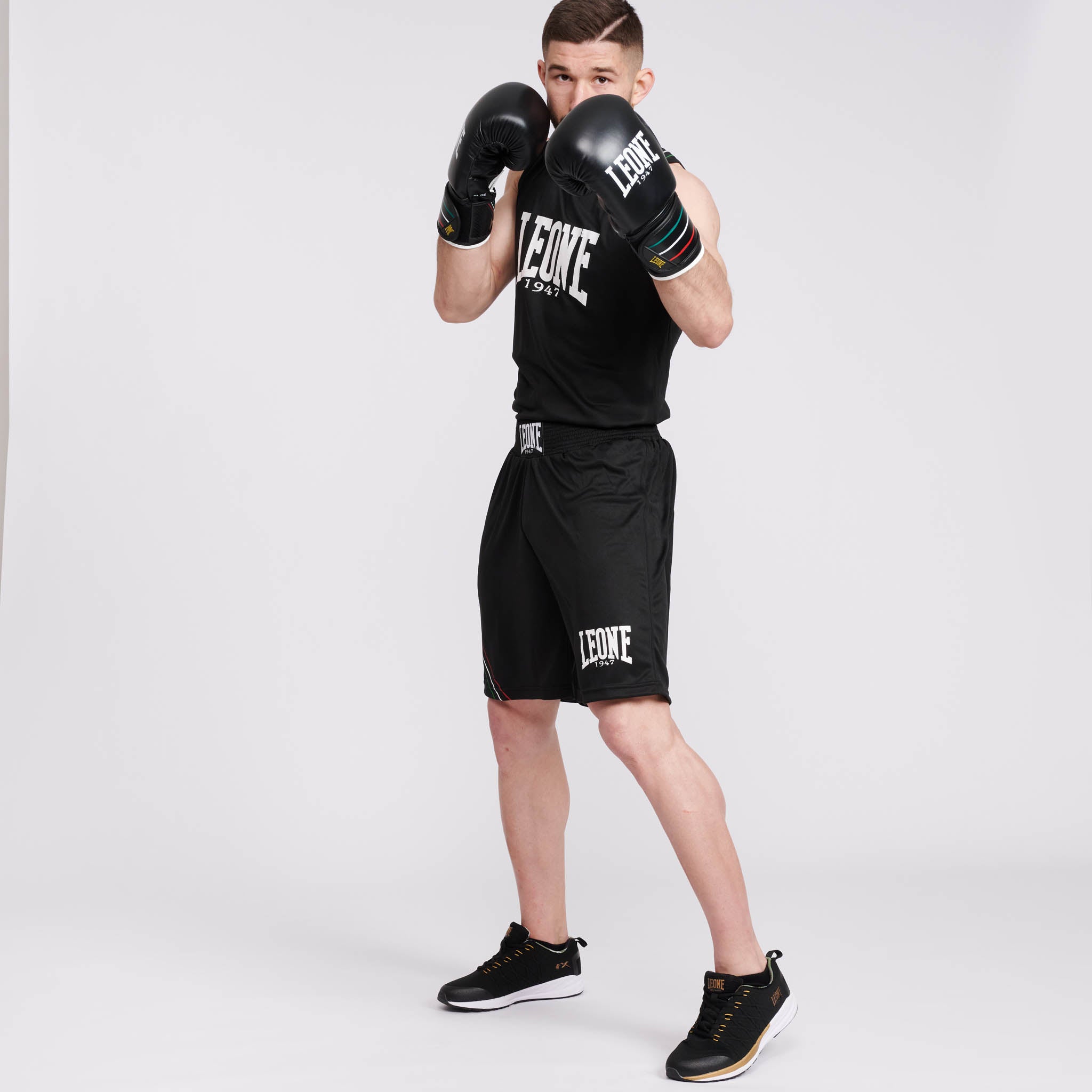 FLAG BOXING GLOVES