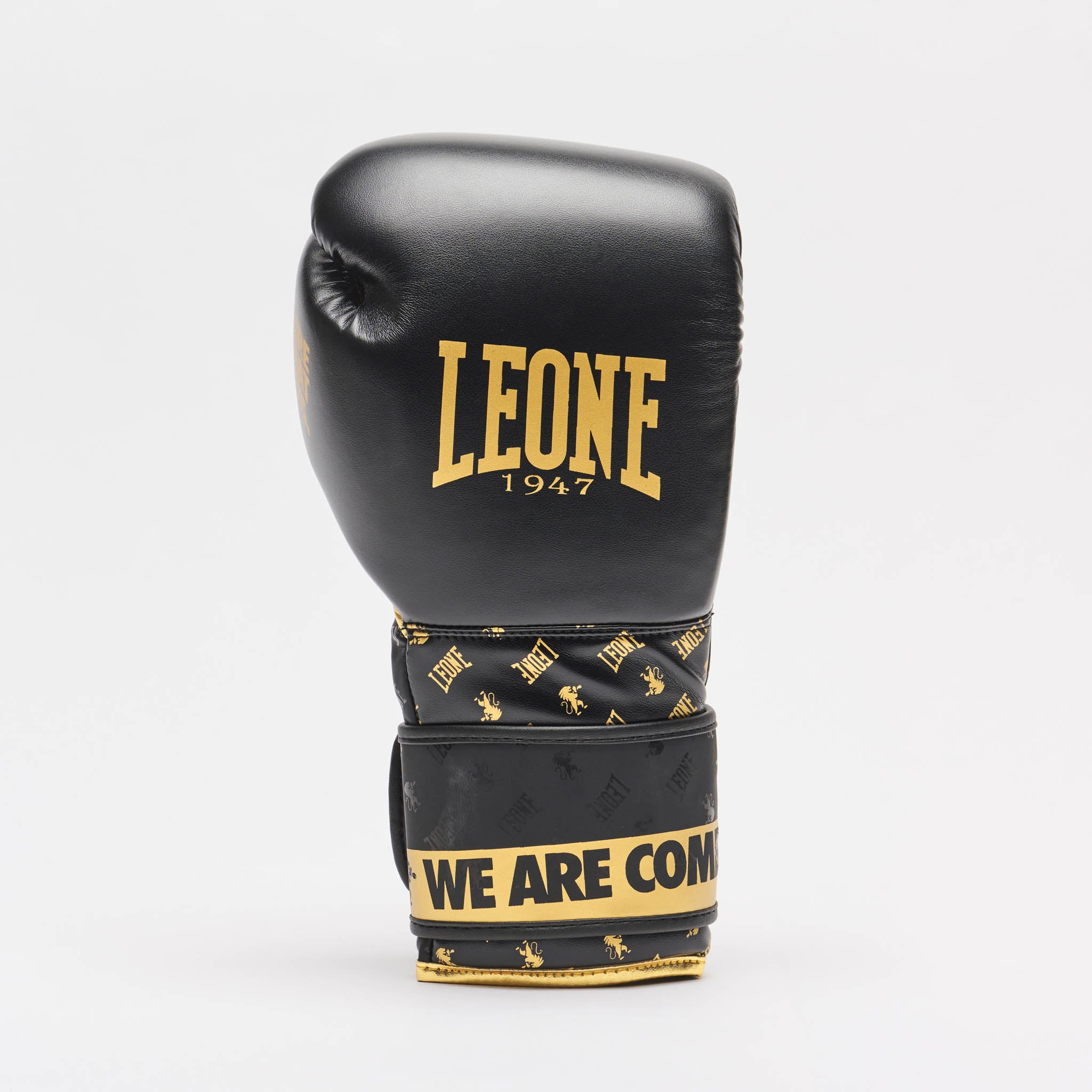 DNA BOXING GLOVES